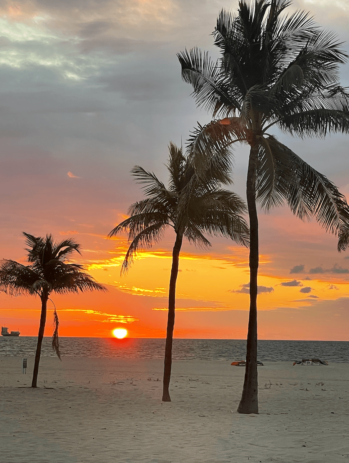 A Local's Guide to Exploring Fort Lauderdale curated by Amanda Fisher