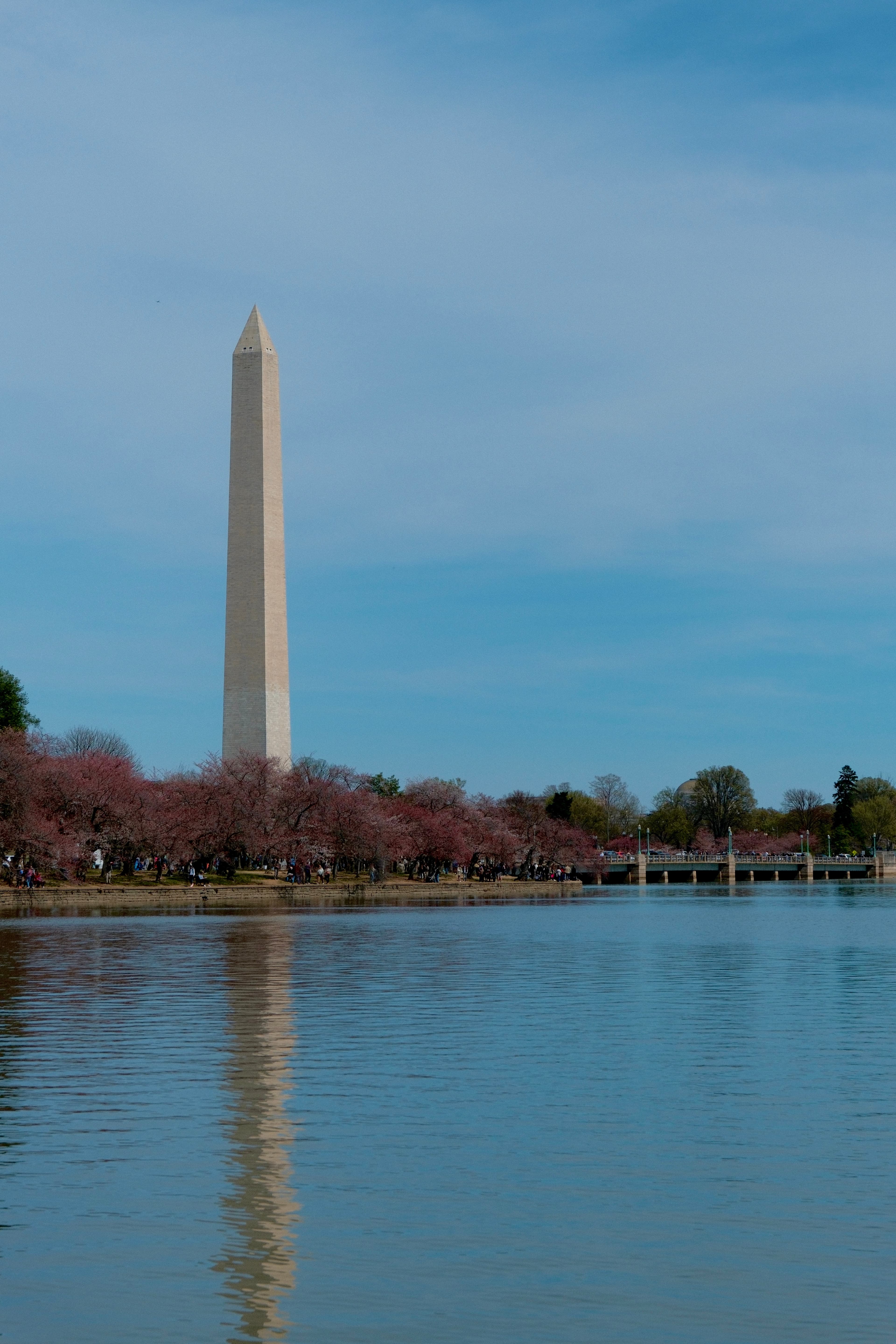 Spend a Long Weekend in the US Capital curated by Jea Breshears
