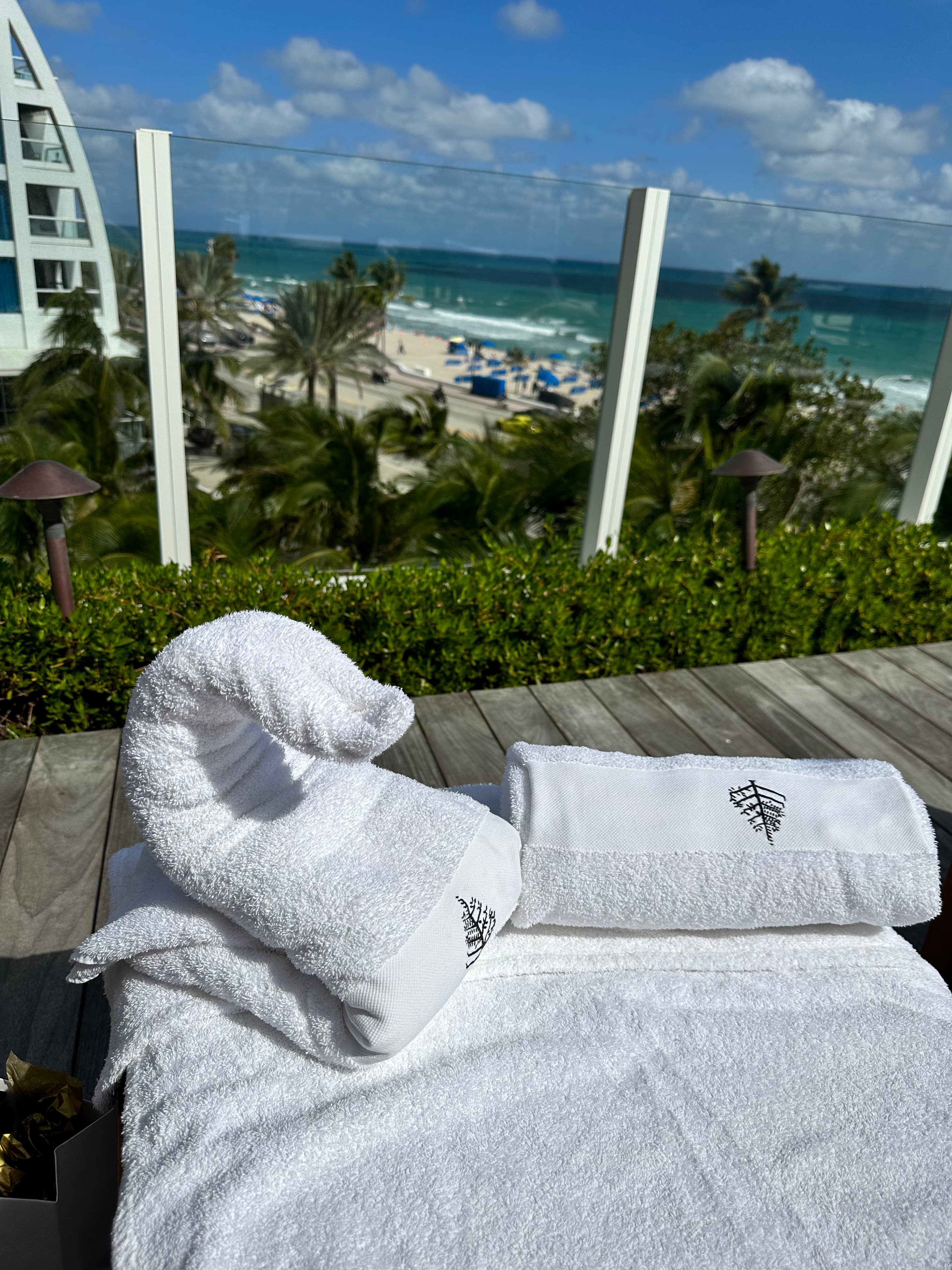 Atlantic Breezes at the Four Seasons Fort Lauderdale curated by Jennifer Singleton