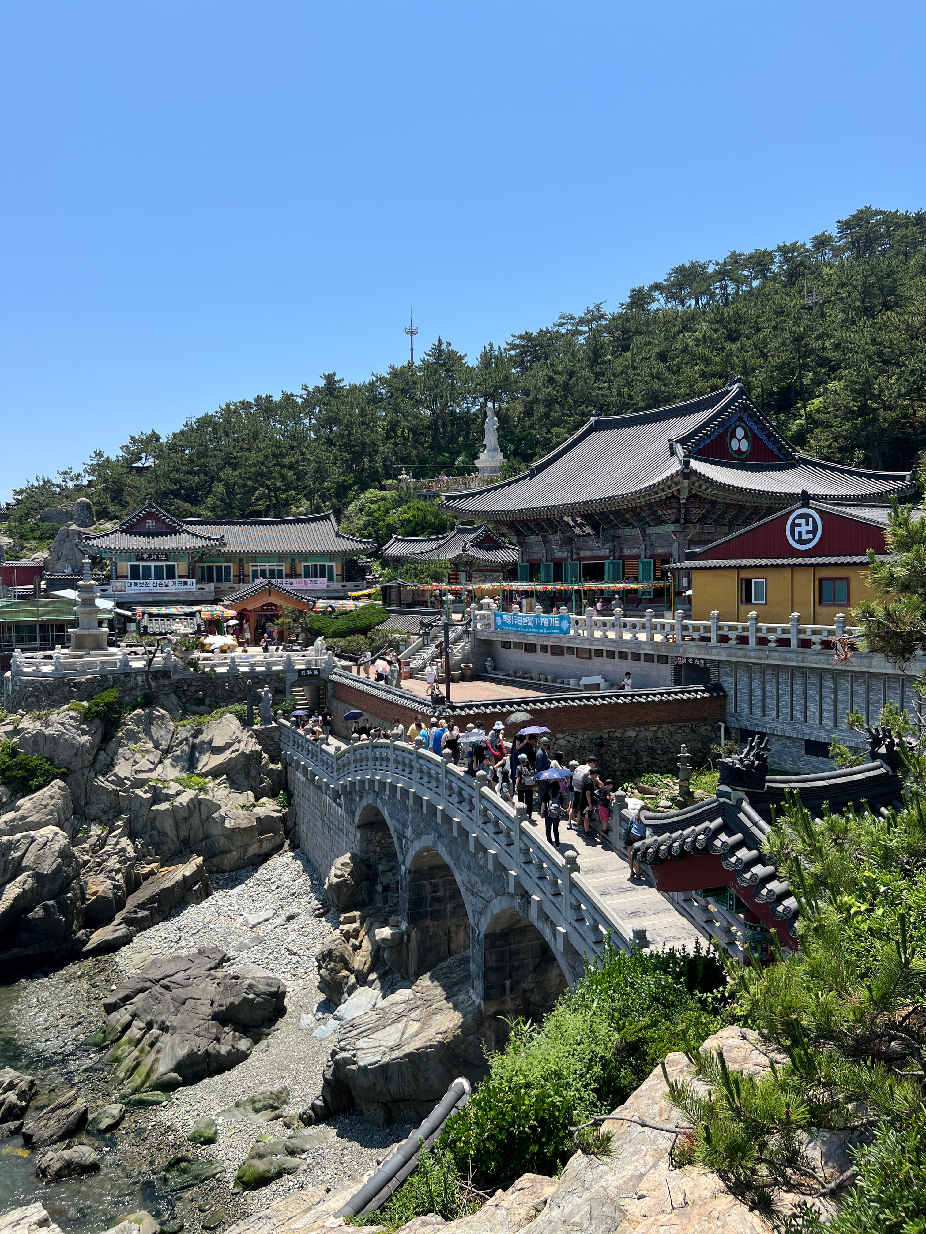 Your Insider Guide to Busan: Seafood Feasts, Spa Days & Scenic Strolls curated by Ronna Pratt
