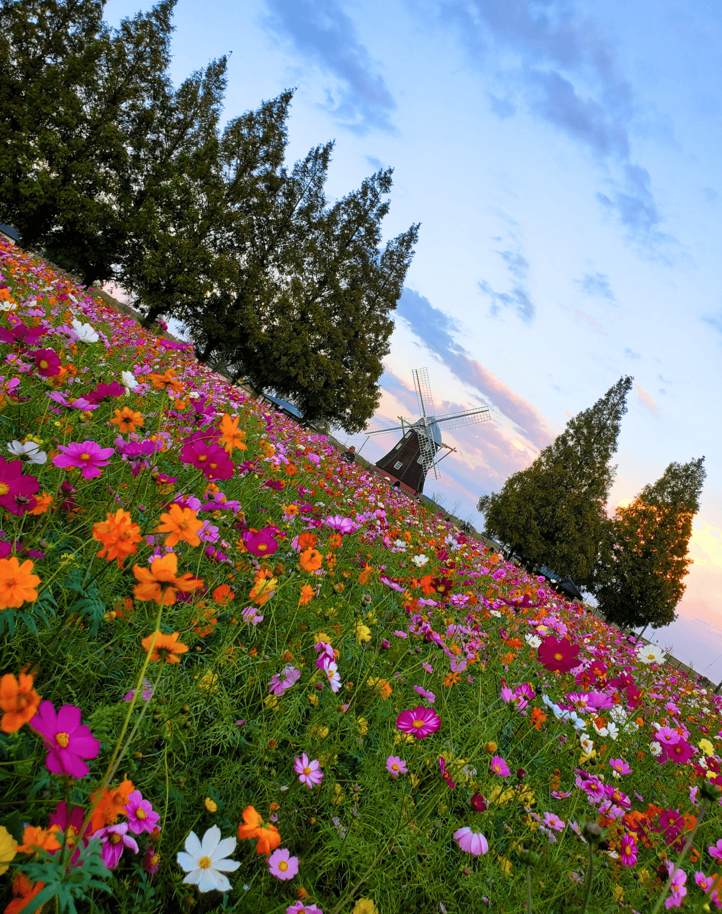 7 Unforgettable Day Trips from Tokyo for Every Type of Traveler curated by Alyson Pritscher