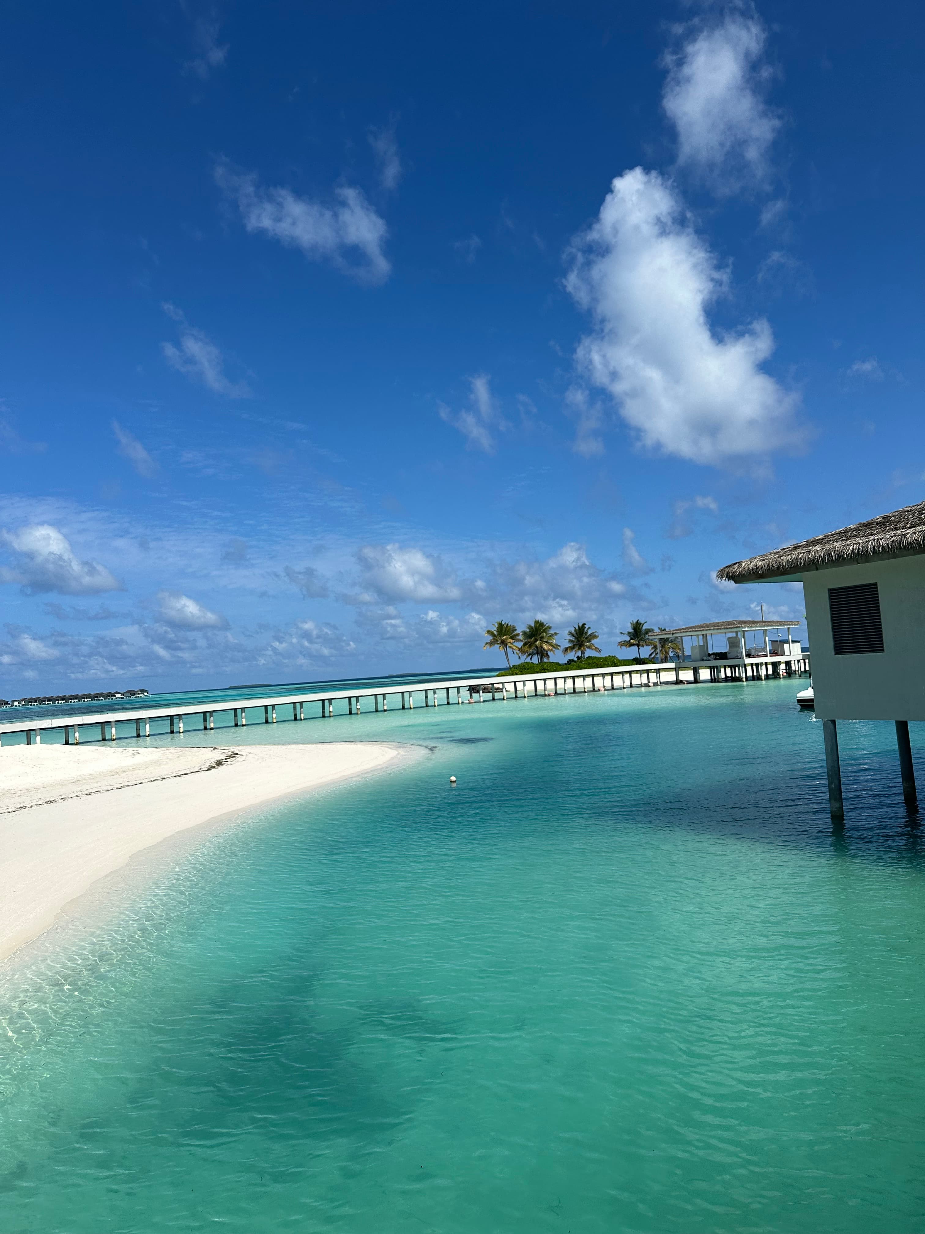 Maldives on a Budget: A Dream Getaway Without the Luxury Price Tag curated by Amanda Fisher