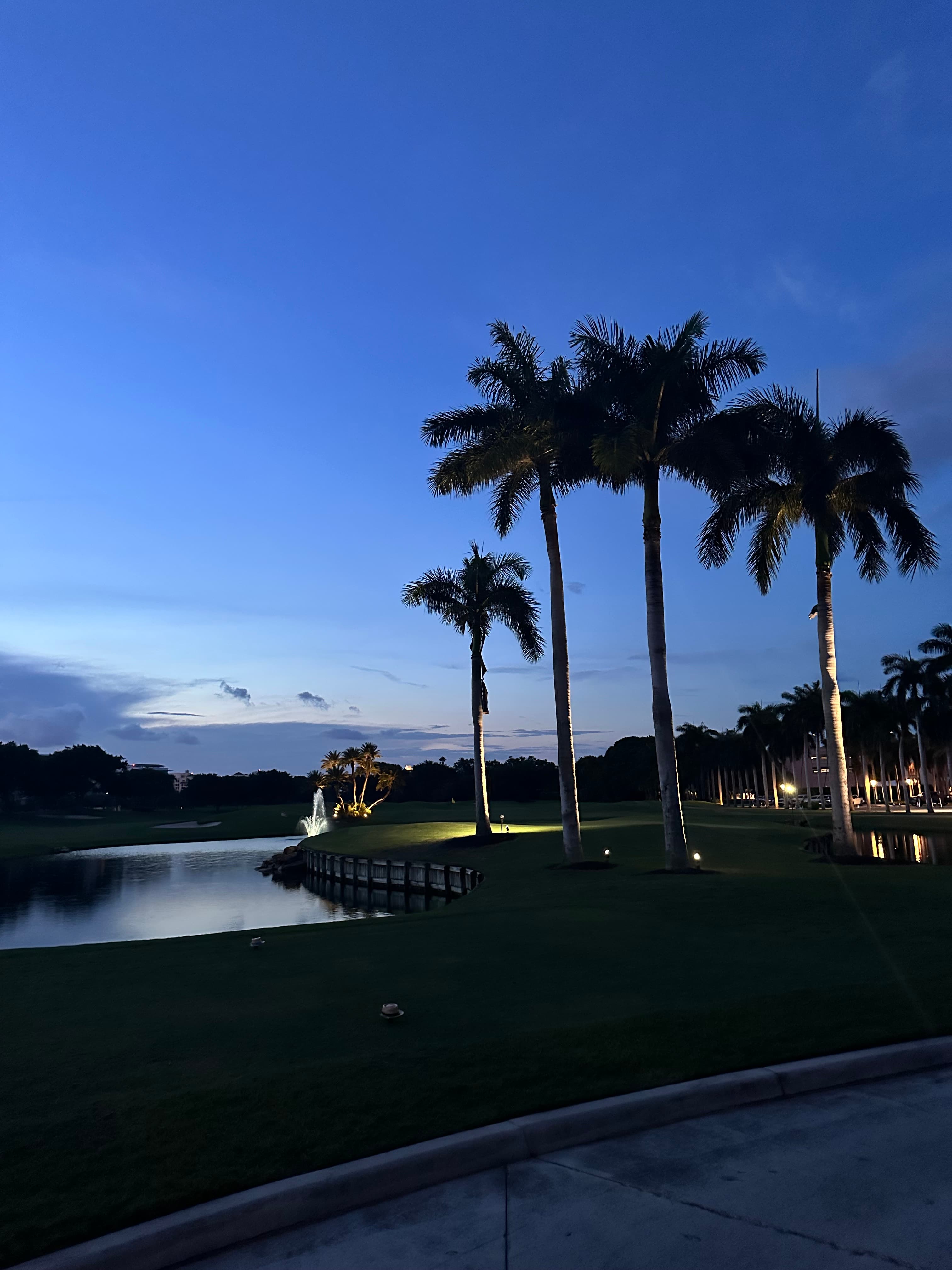 Boca Raton Resort: The Complete Guide curated by Brittany Russell