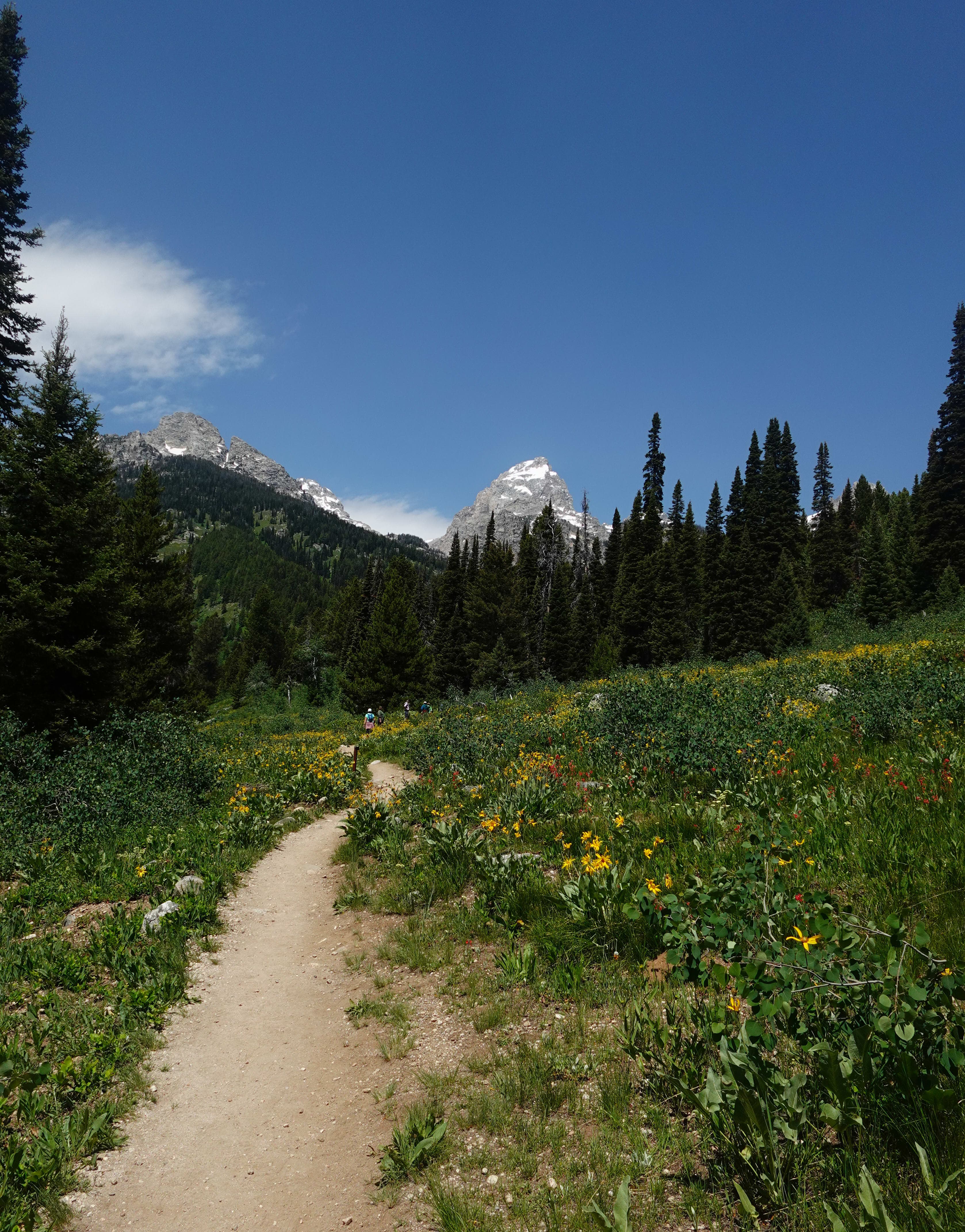 A Long Summer Weekend in Jackson, Wyoming curated by Julia Maynard