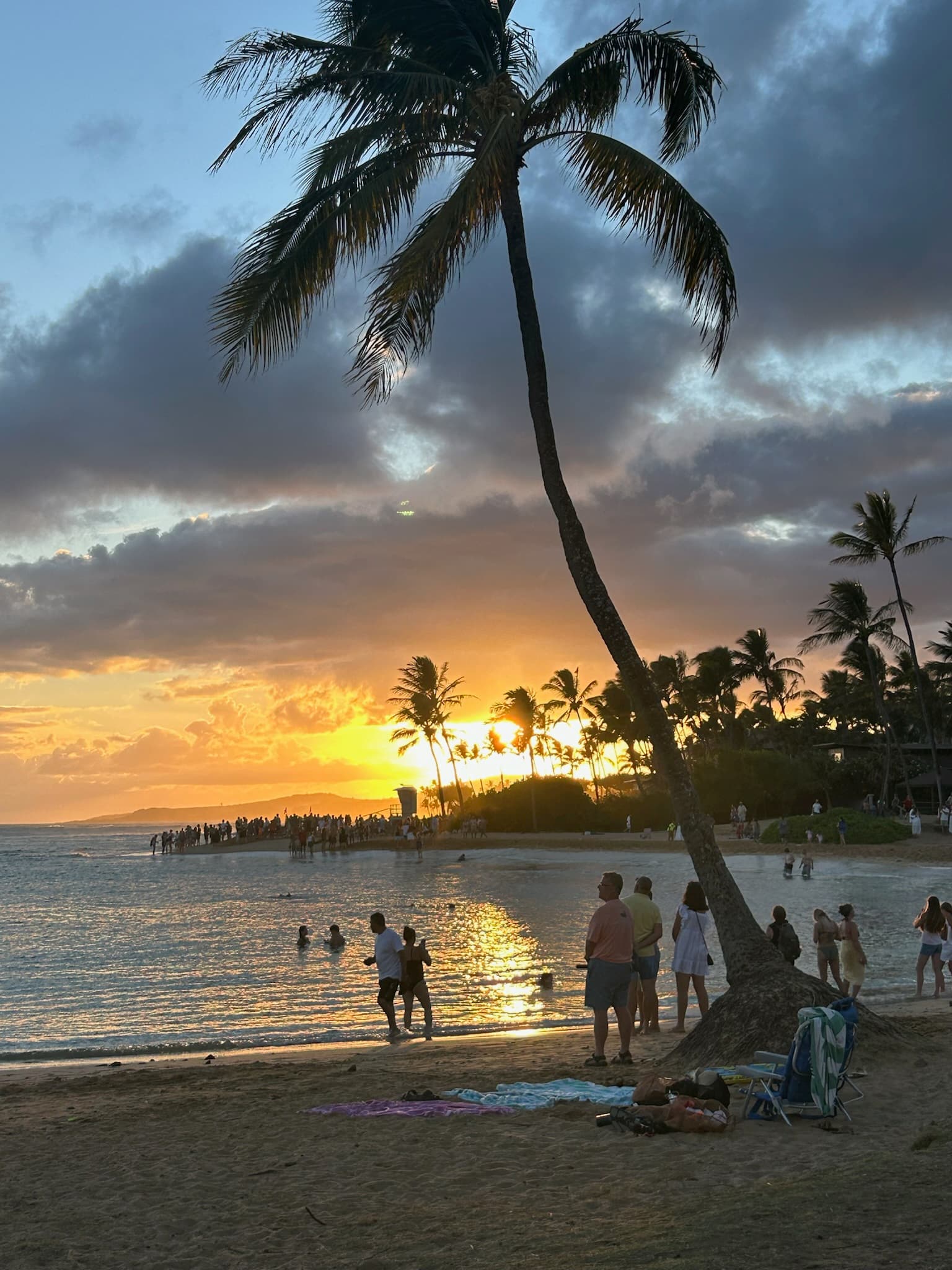 Hawai'i Family Adventure: Kauai, Big Island & Oahu curated by Kim Gnatt