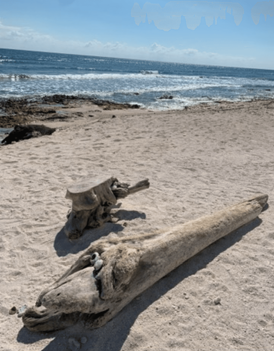 The Riviera Maya Escape: Playa del Carmen & Tulum curated by Talisa VanderPoel