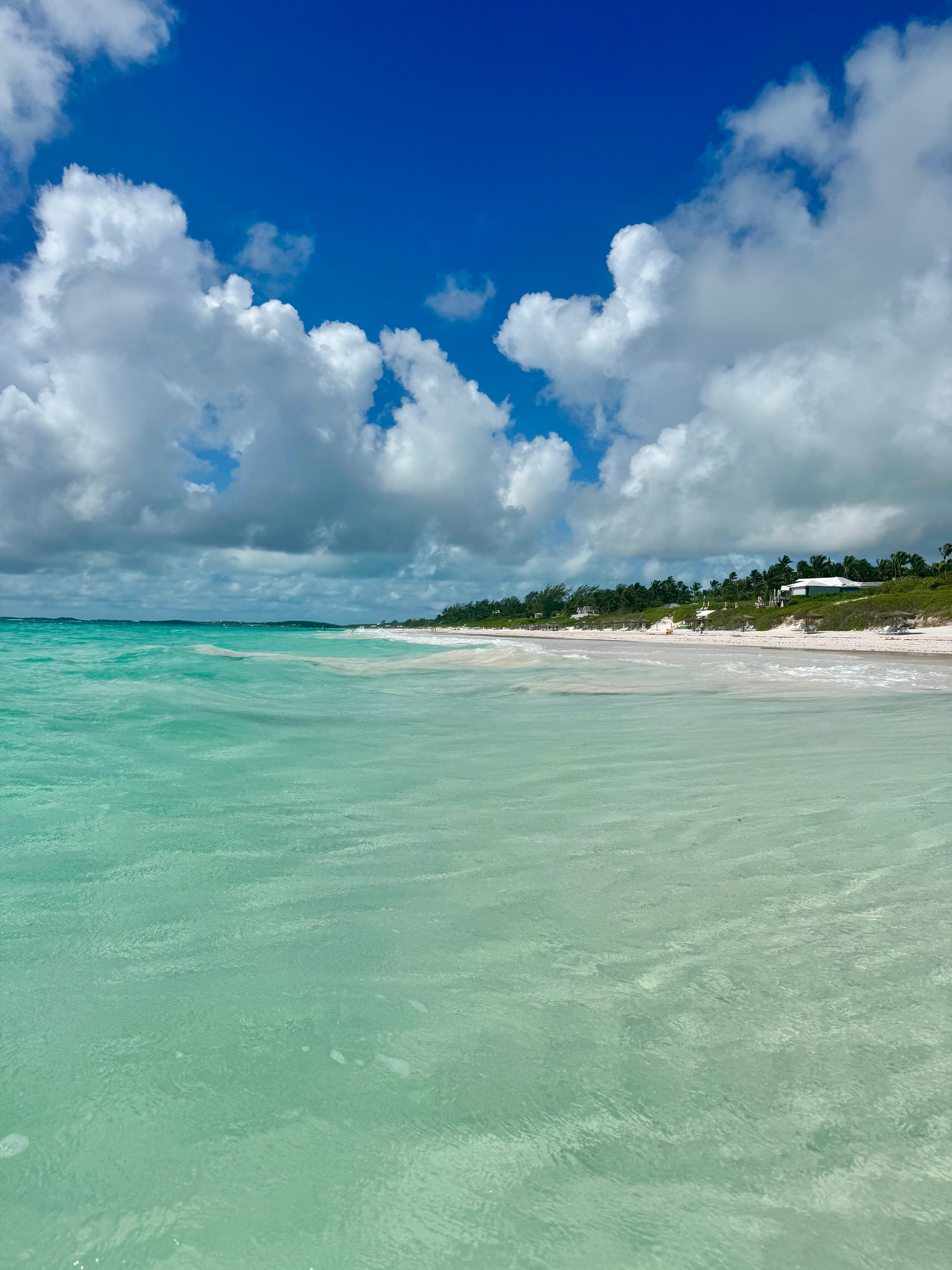 The Pink Sands Paradise: Exploring Harbour Island curated by Samantha Aguirre