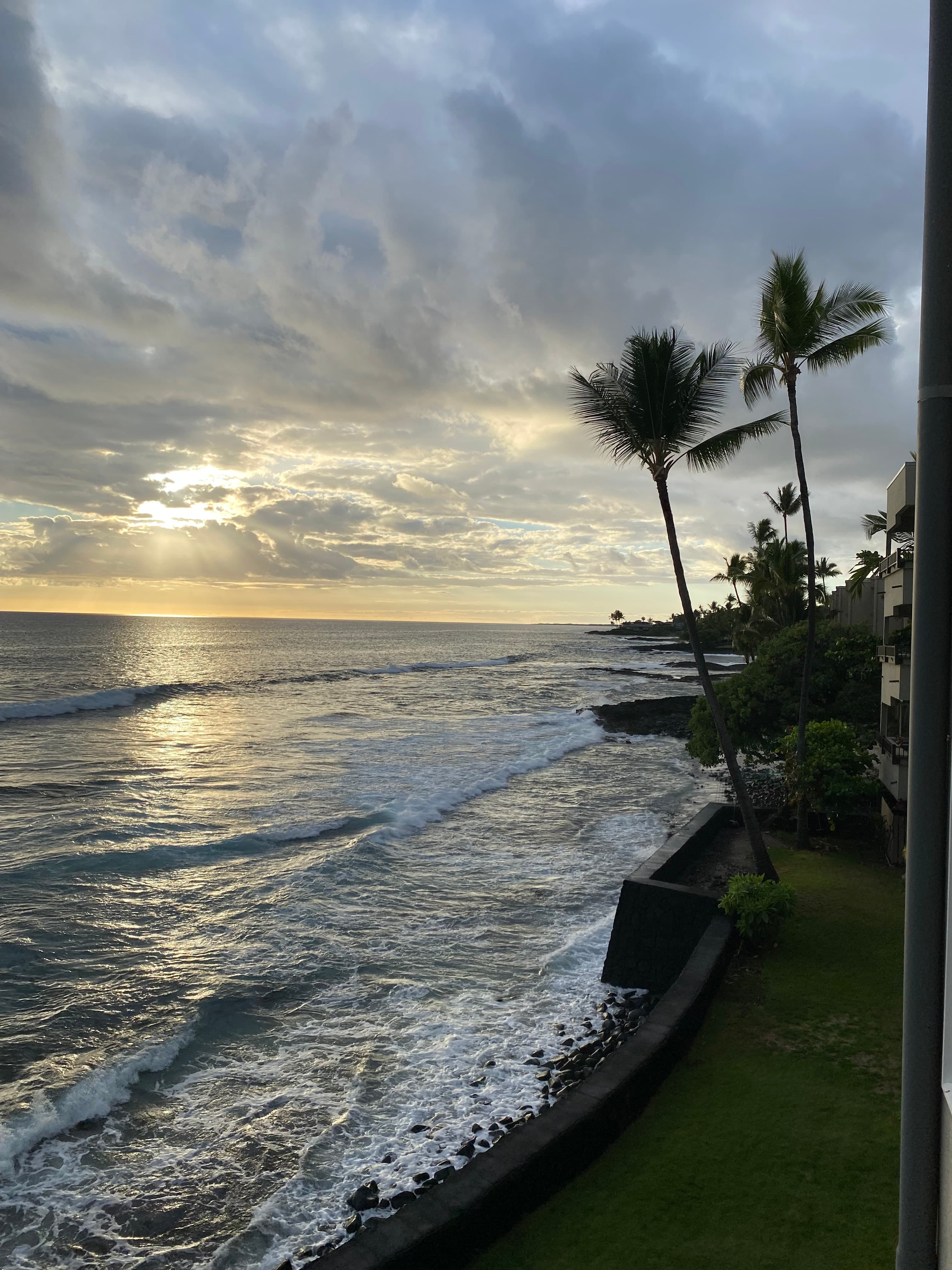 Kona, Hawaii: The Western Coast of the Big Island curated by Kim Wortman