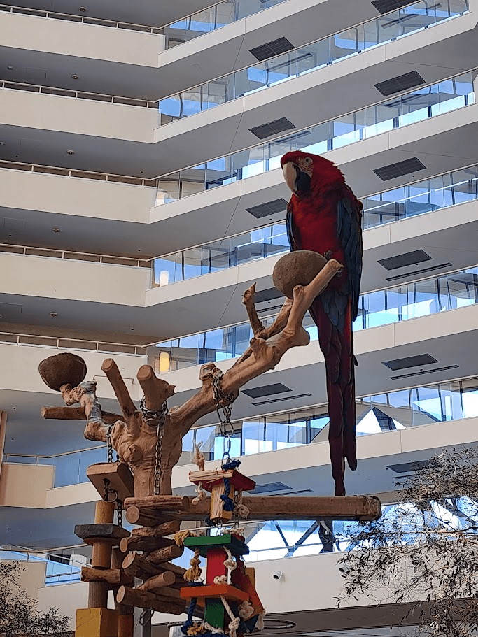 Travel photo 5