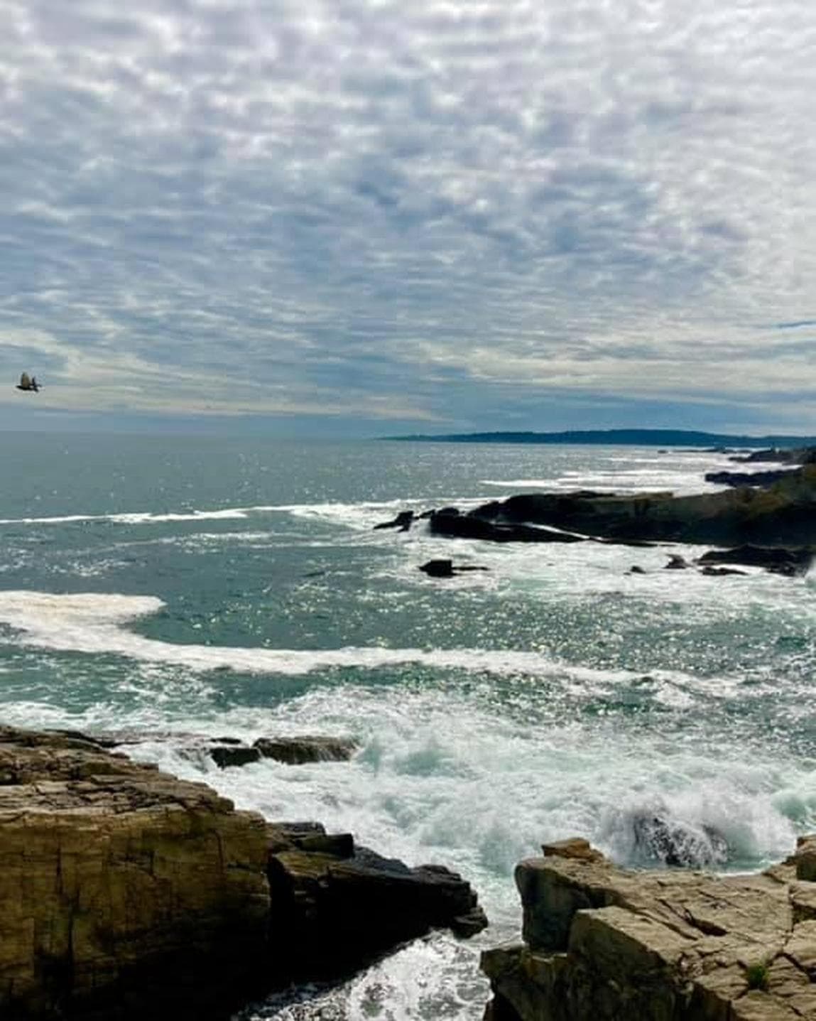 A Romantic Road Trip: Boston to Portland Along the New England Coast curated by Anne Trout