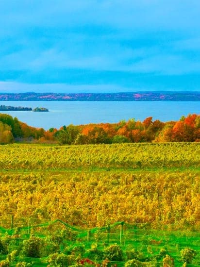 Fall in Traverse City curated by Monika Petz