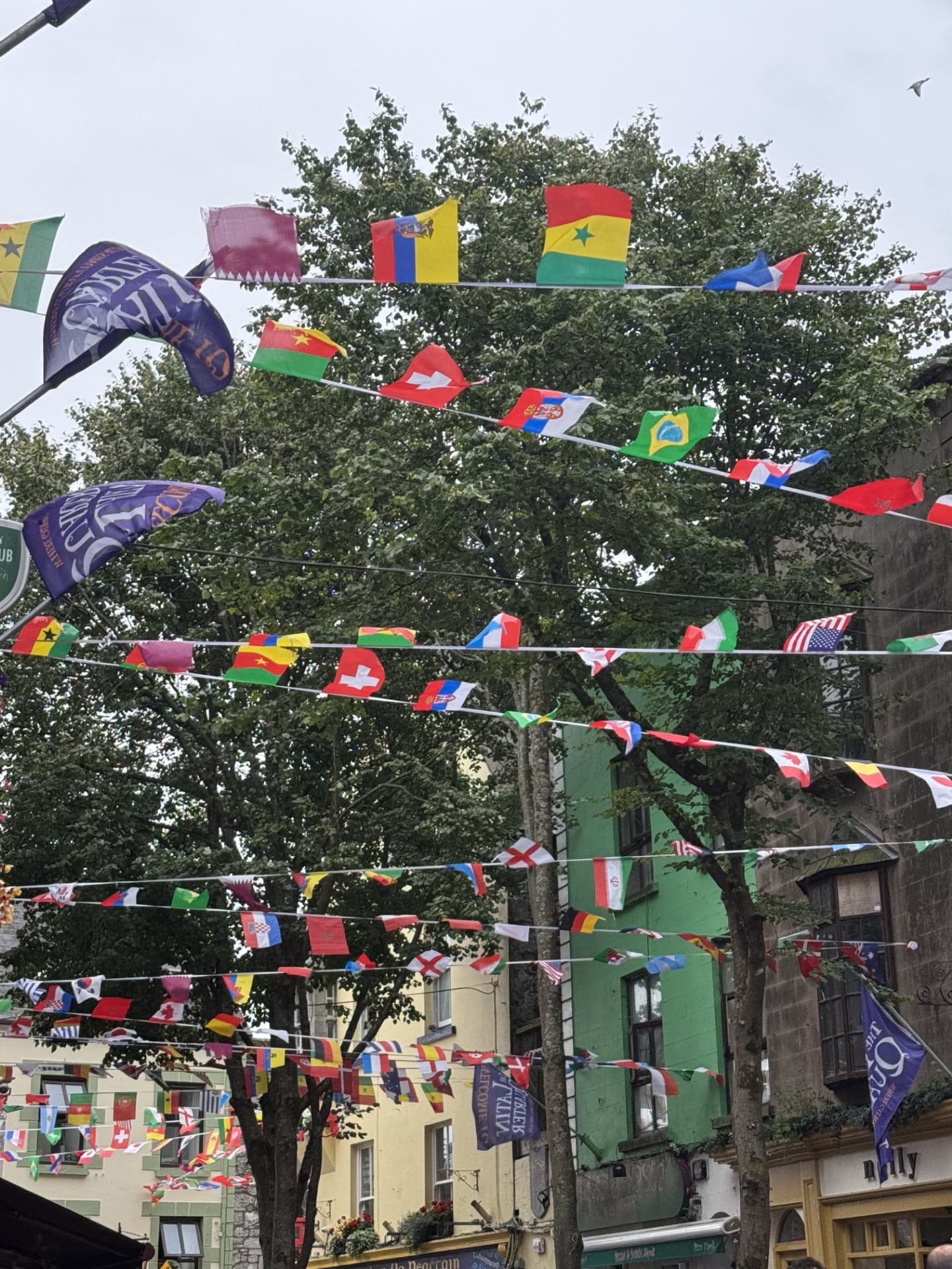 Seeing the Sights in Galway curated by Lisa McClain