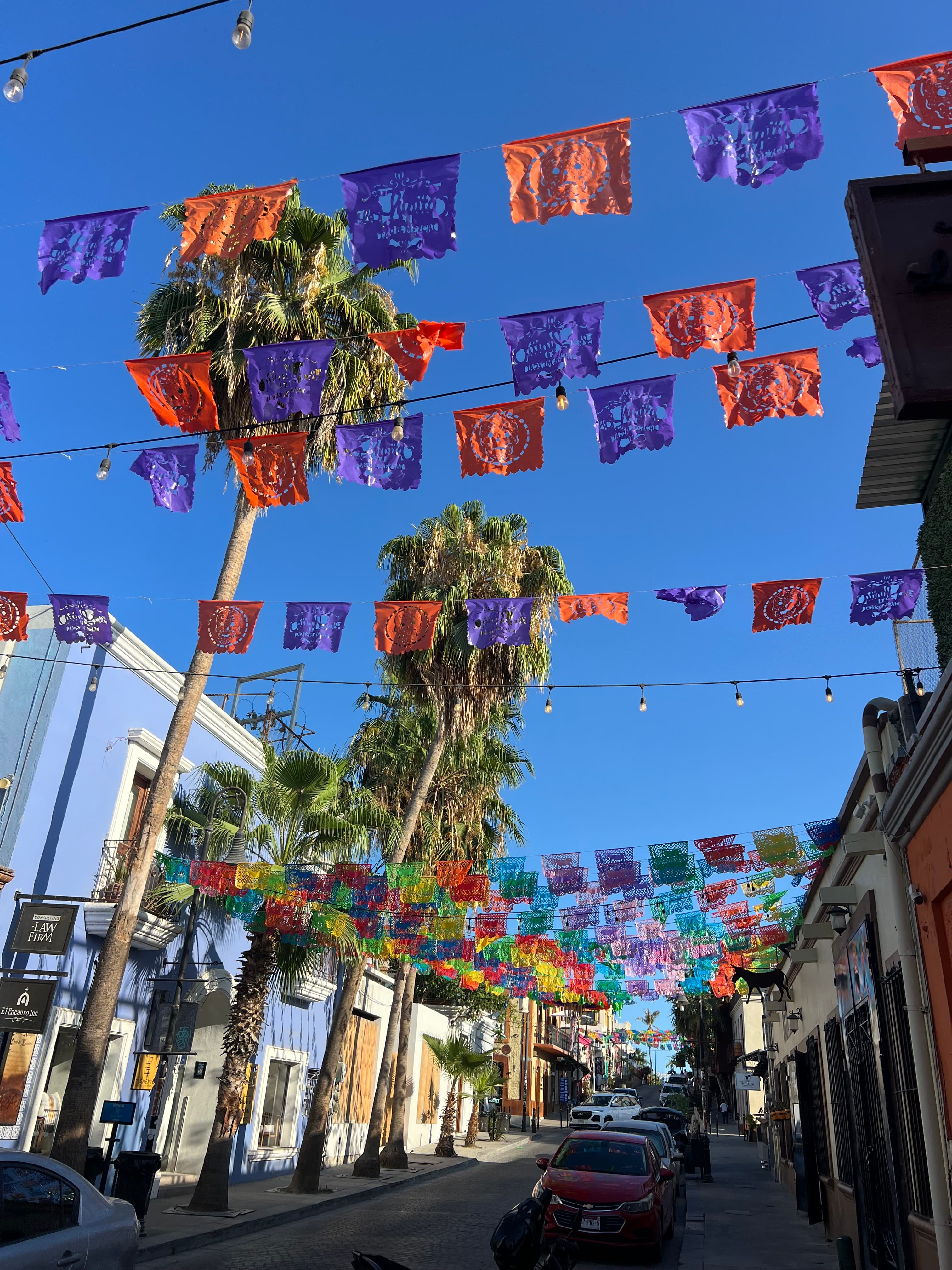 Savoring San José: 3-Day Guide to Food, Culture & Fun curated by Vanessa Mason