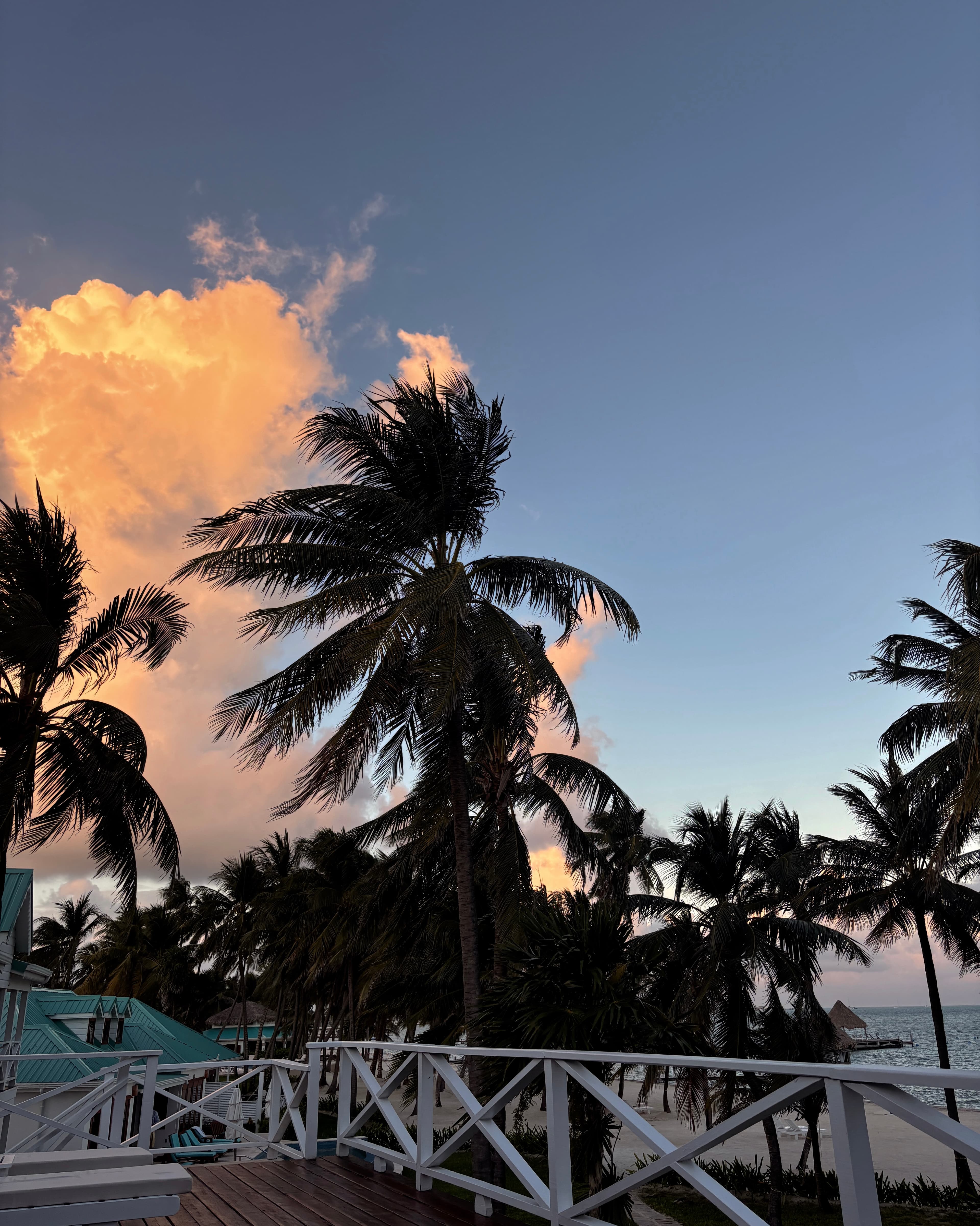Best of Belize: San Pedro & Caye Caulker curated by Francessca Magyar