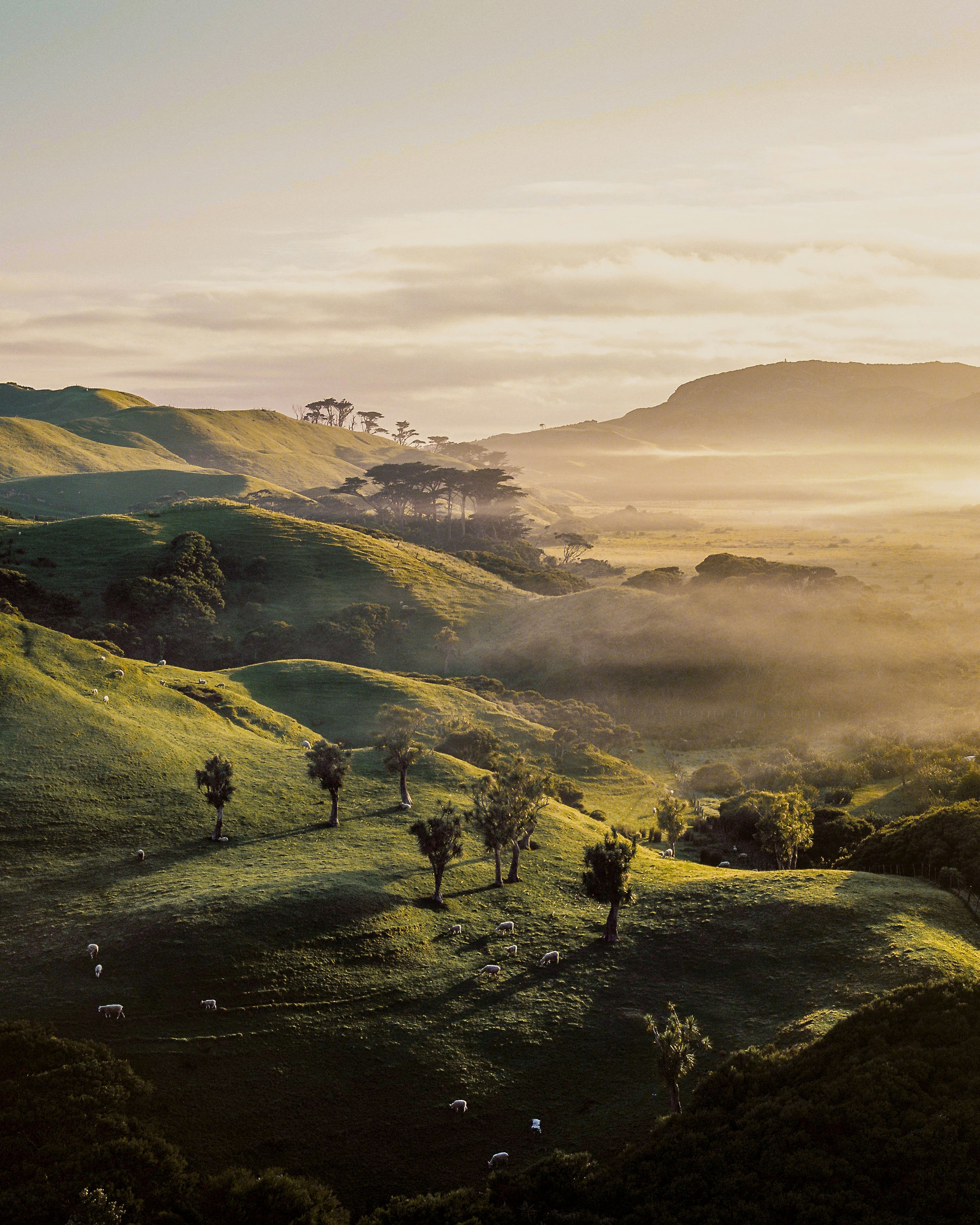 From Auckland to Wellington: An 8 Day Road Trip curated by Joshua Beeson