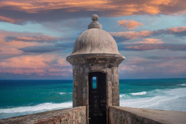 Three Nights, One Paradise: Puerto Rico Unveiled curated by Lisa Phillips