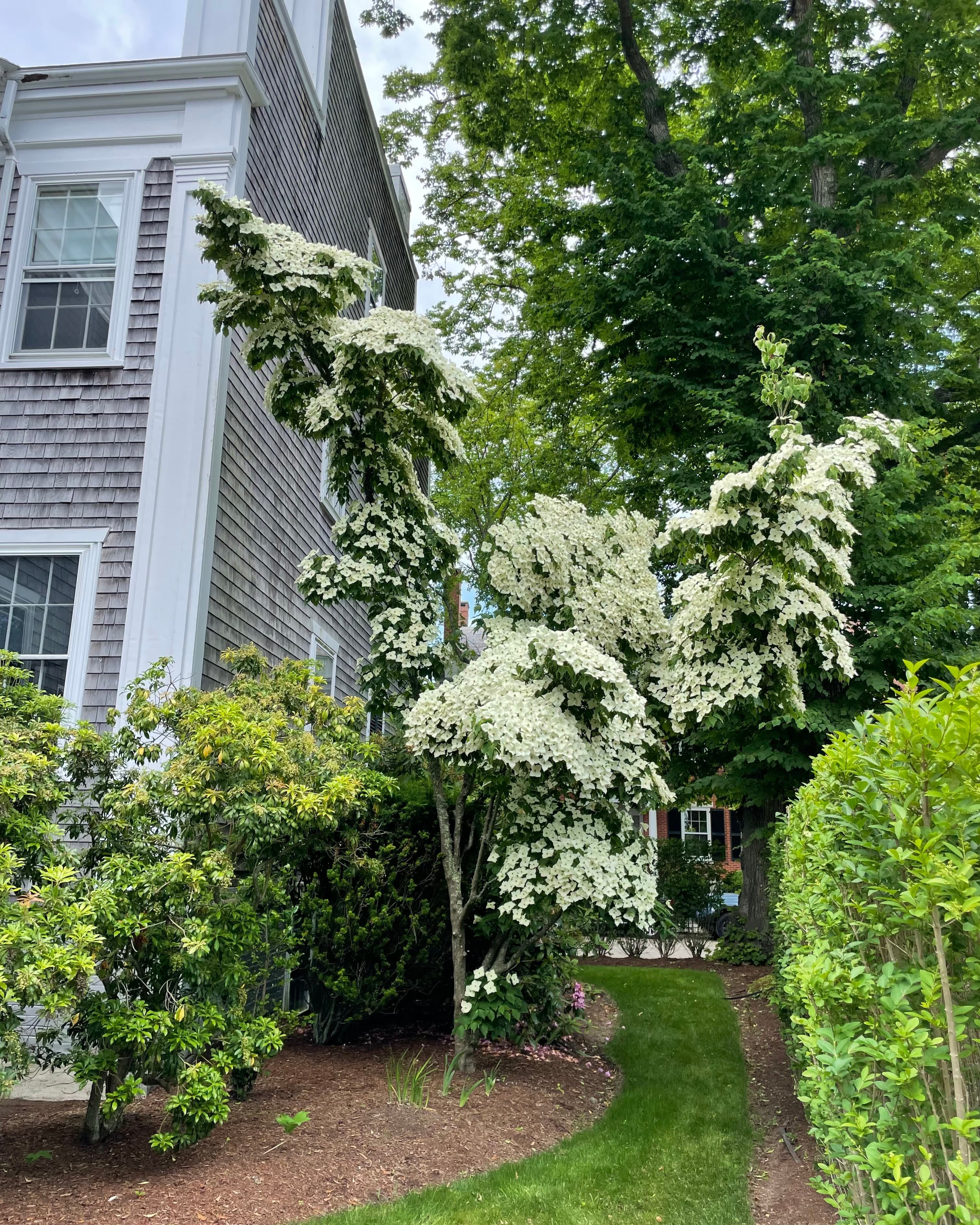 Fall for Nantucket: From Labor Day Weekends to October Getaways curated by Angelica Zureikat