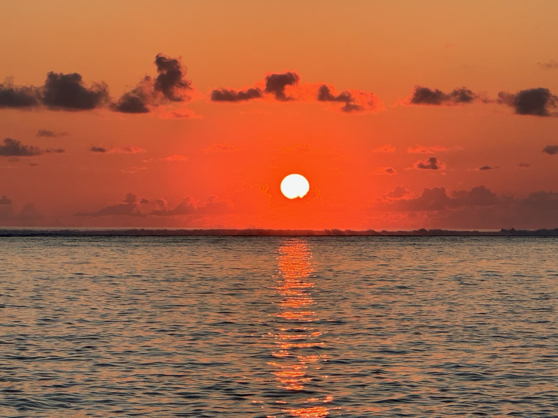 Tropical Milestones in the Maldives curated by Monica Morgan-Vargas