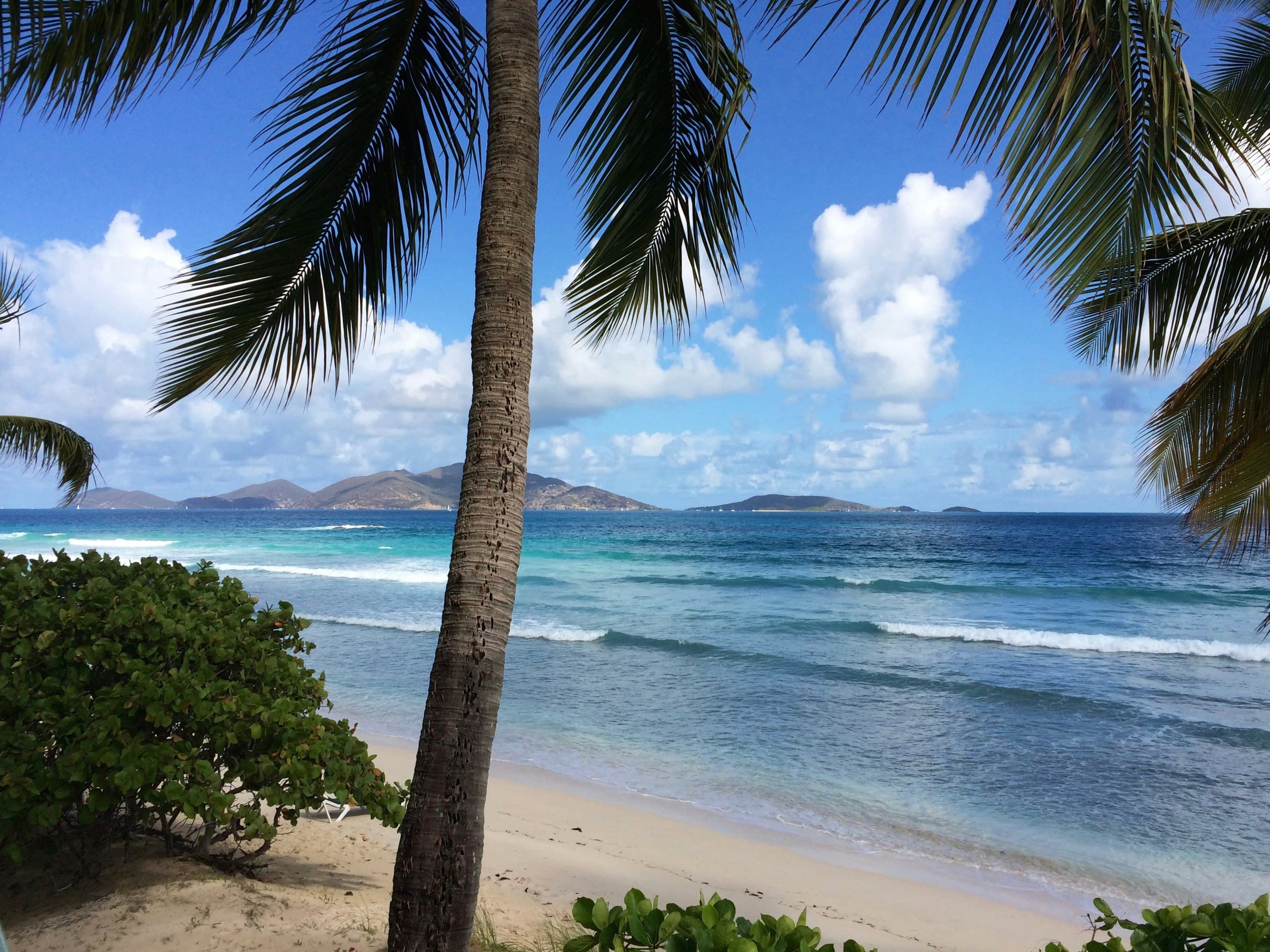Flip-Flops & Five-Star Feelings: A Caribbean Chapter curated by Lisa Phillips