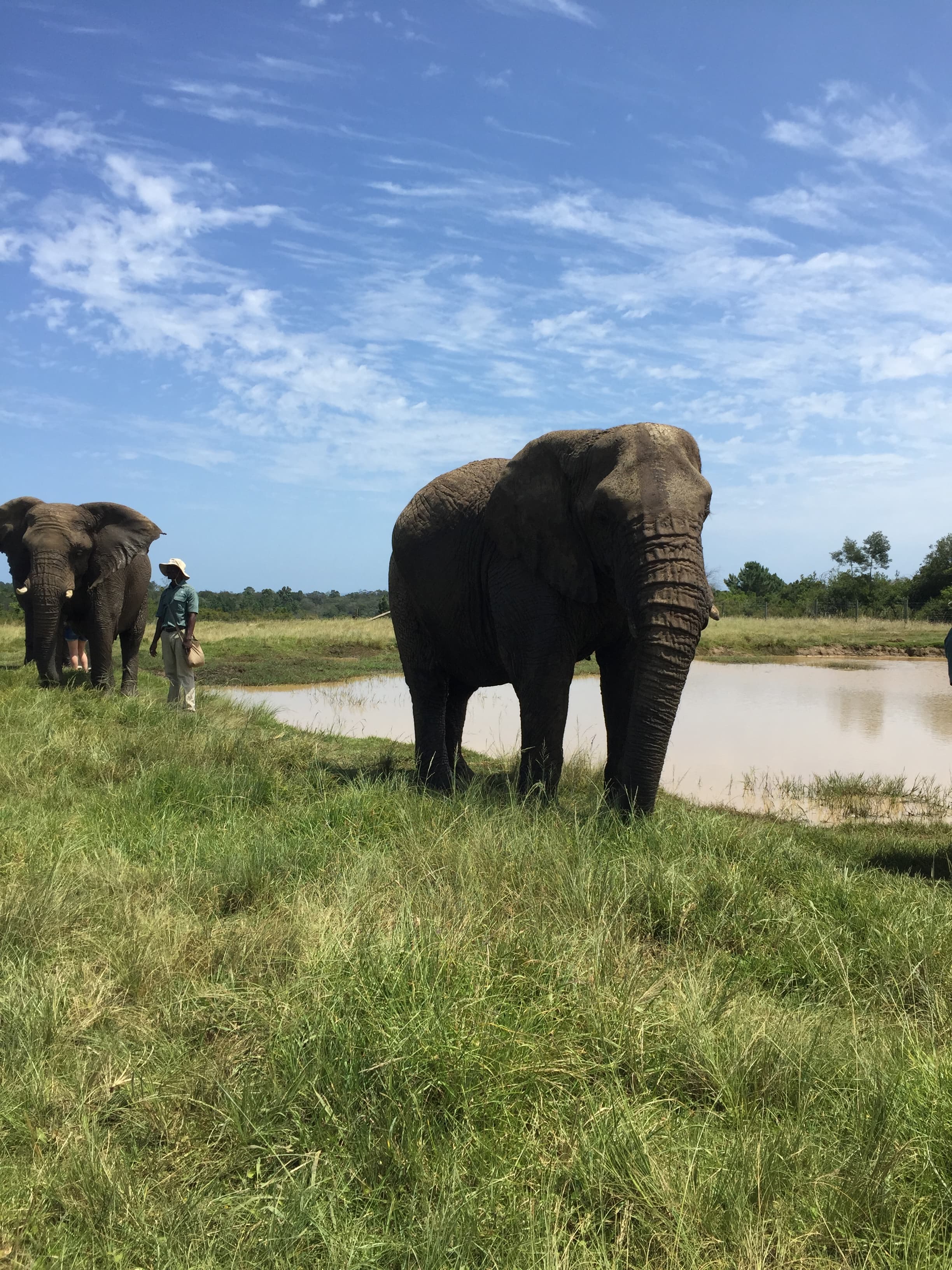 The Ultimate Guide to South Africa's Western Cape curated by Fernanda Pastrana