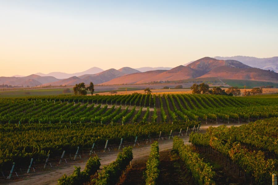 Santa Ynez, California: Wine, Food & A Generosity of Spirit curated by Marc Bush