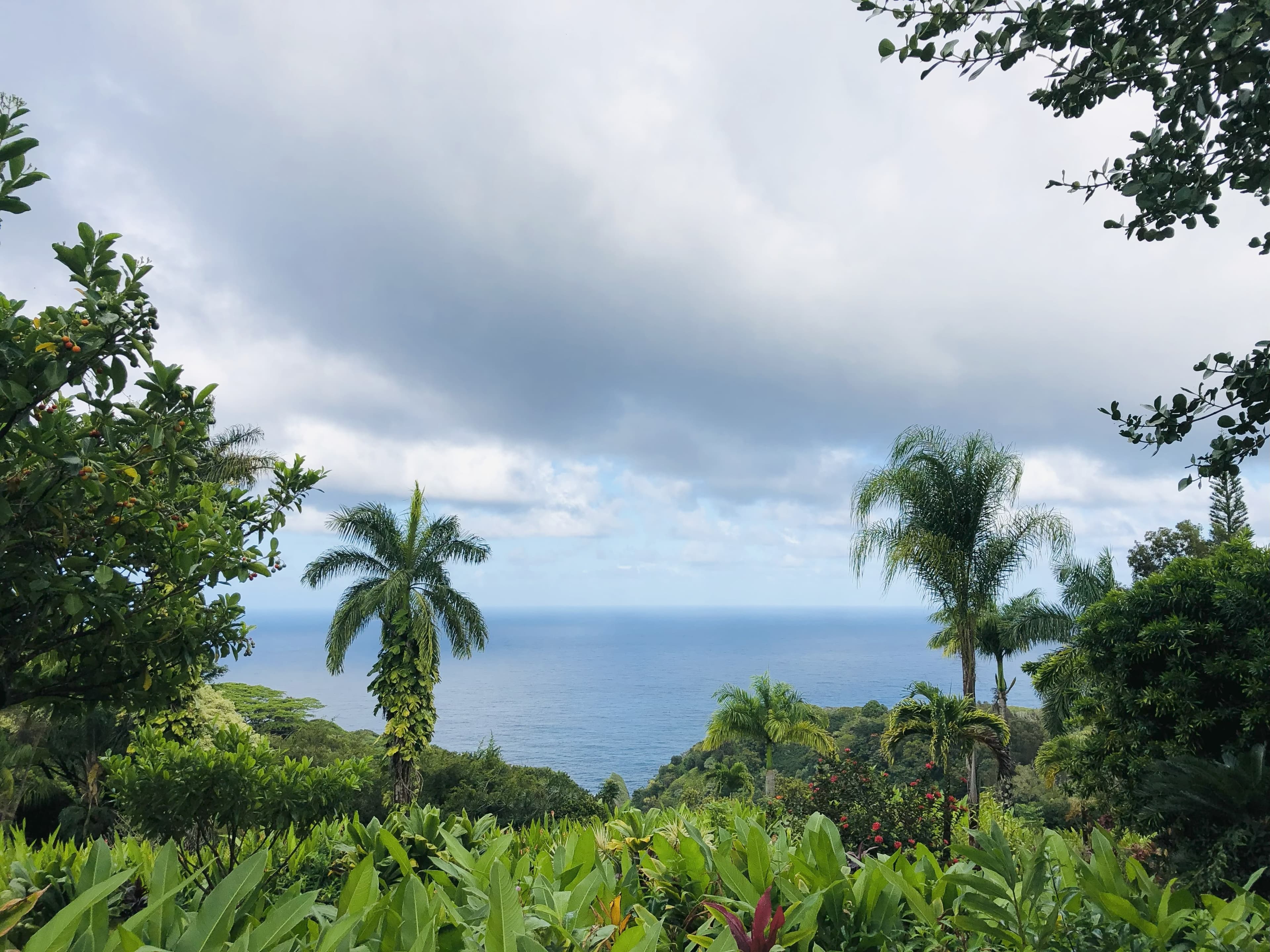 Travel photo 4