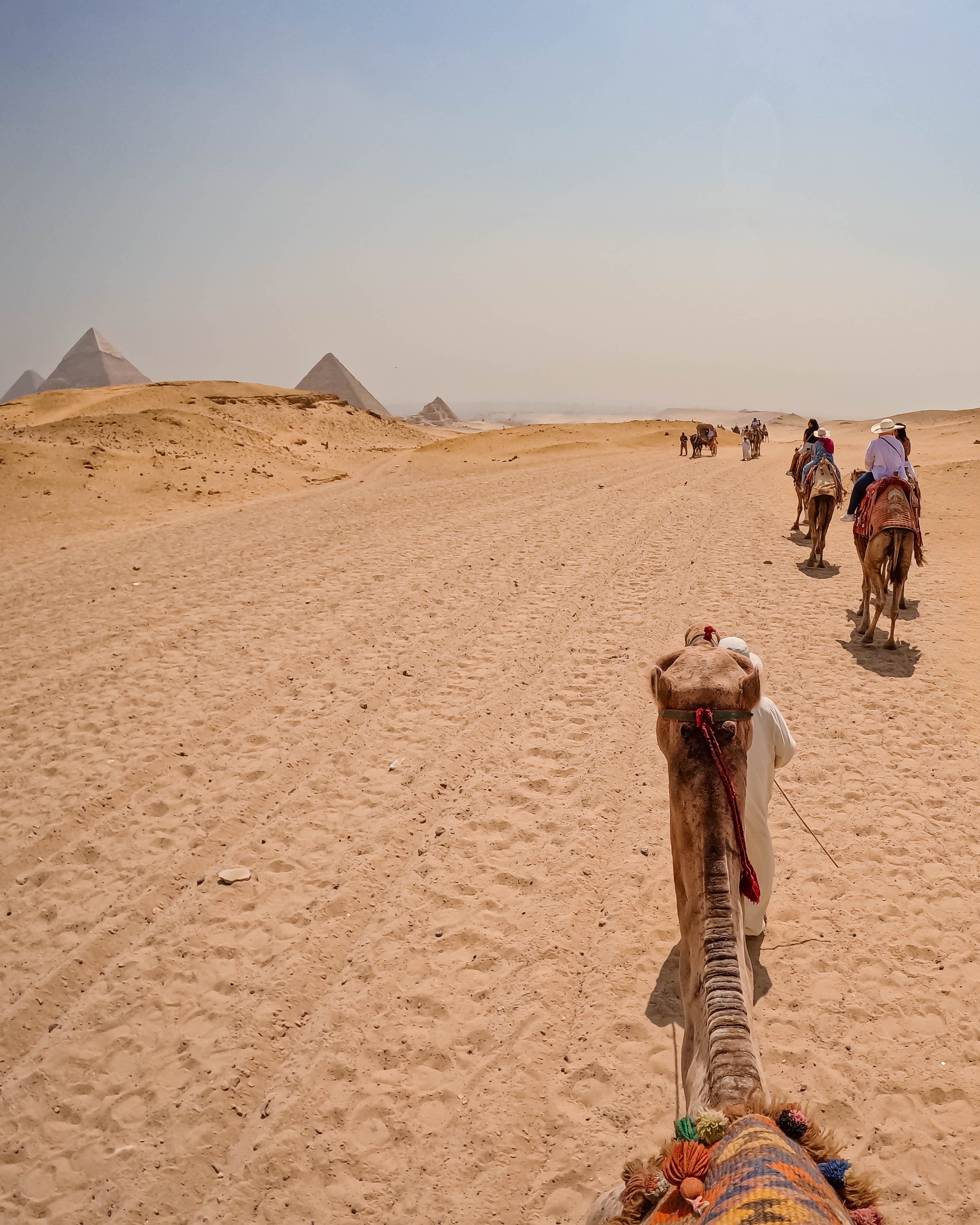 Cruising the Mediterranean & Egypt: 11 Days on Holland America with Teens & a Tween curated by Jennifer Hurlburt