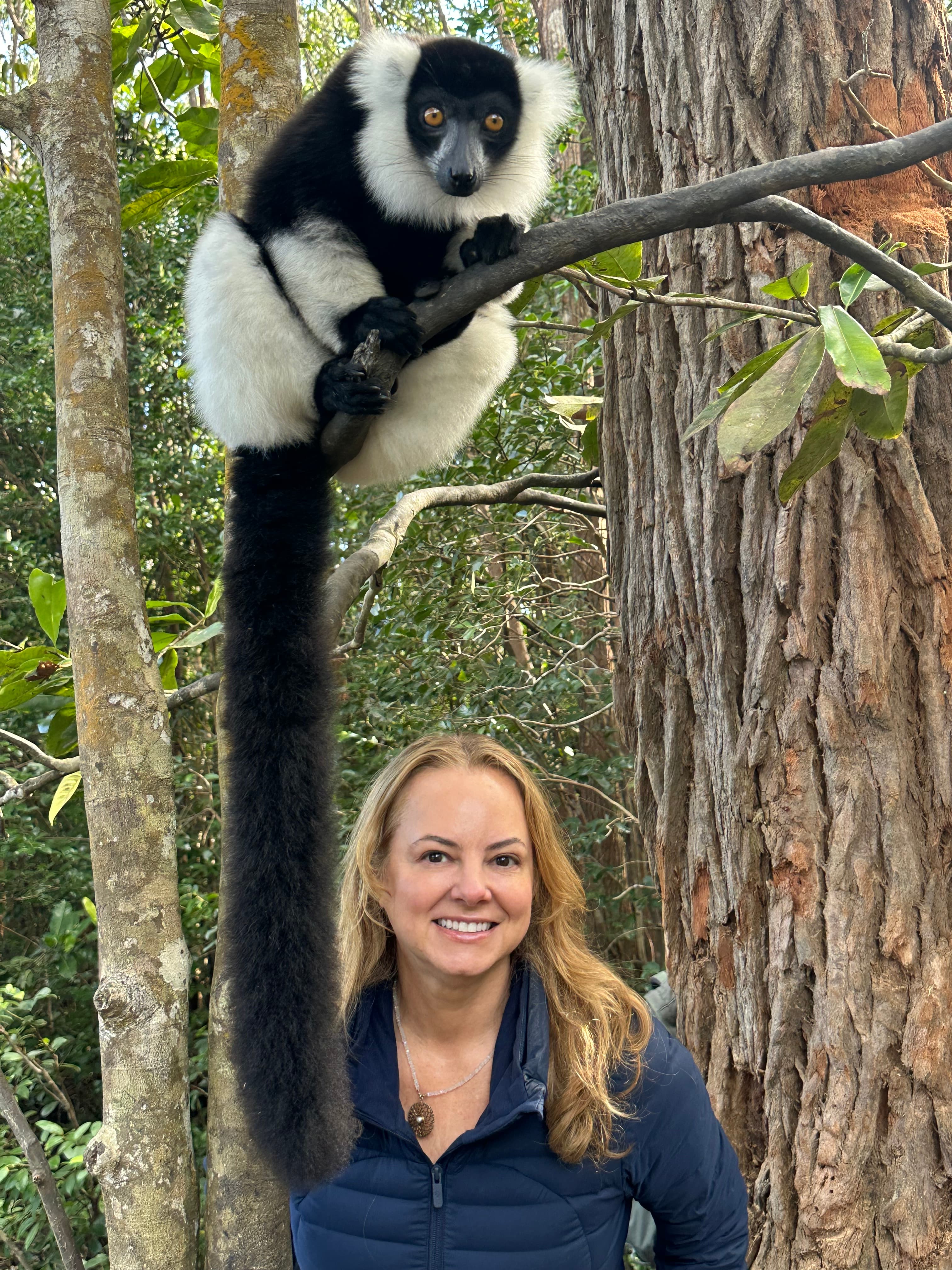 The Madagascar Odyssey: Lemurs to Baobabs, Rainforest to Reefs curated by Kimberly Sackin