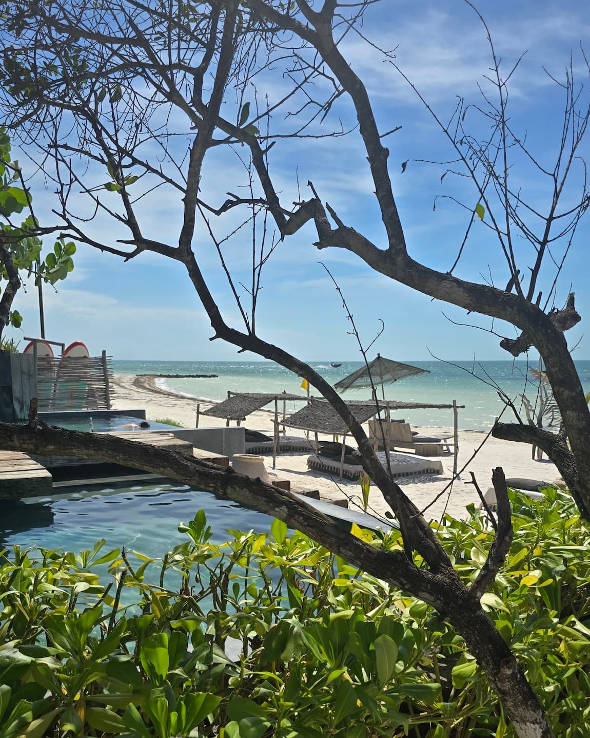 Isla Holbox: A Tropical Paradise for Couples, Friends & Families curated by Matt Bell