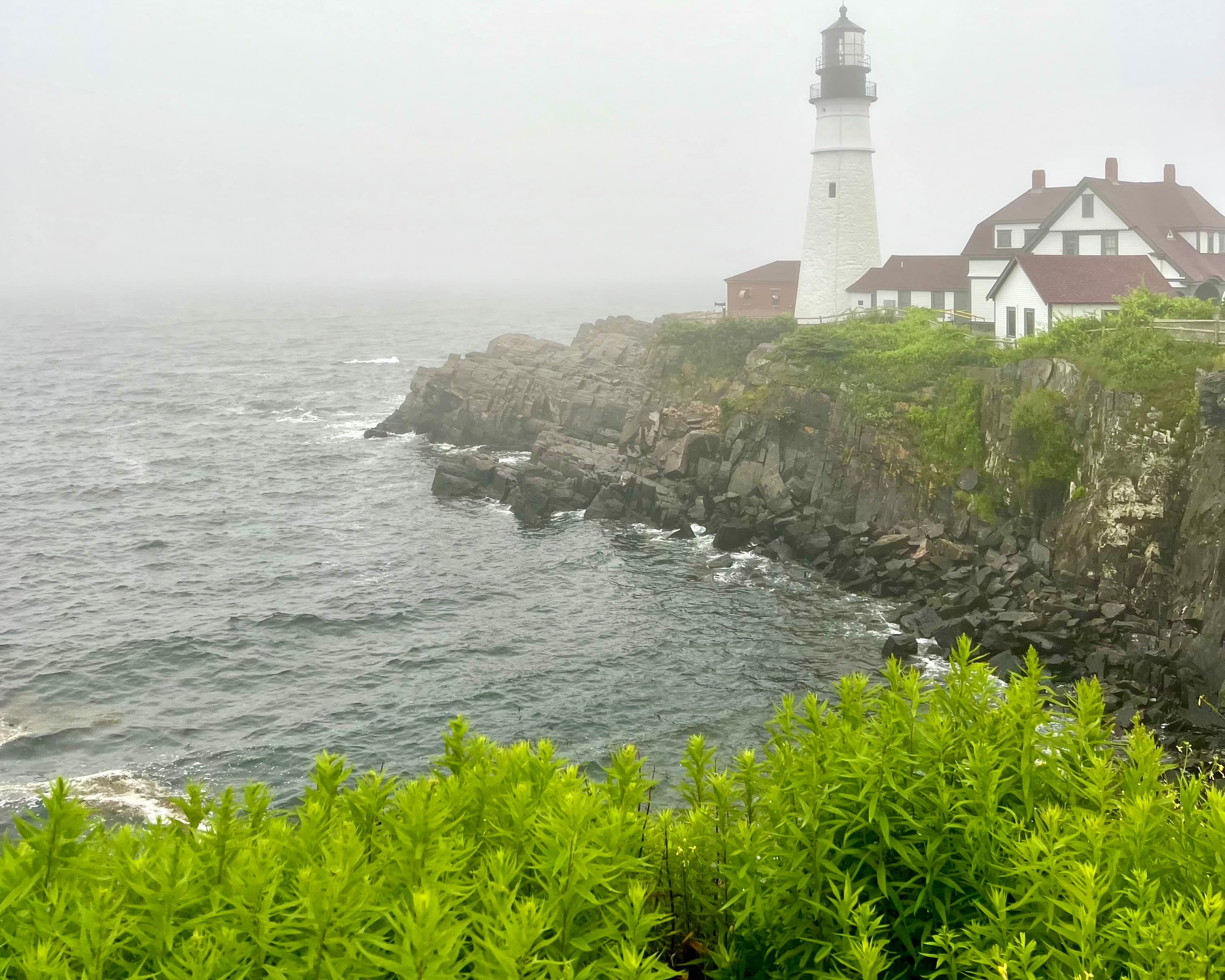 A Laid-back Guide to Maine curated by Taylor Landin