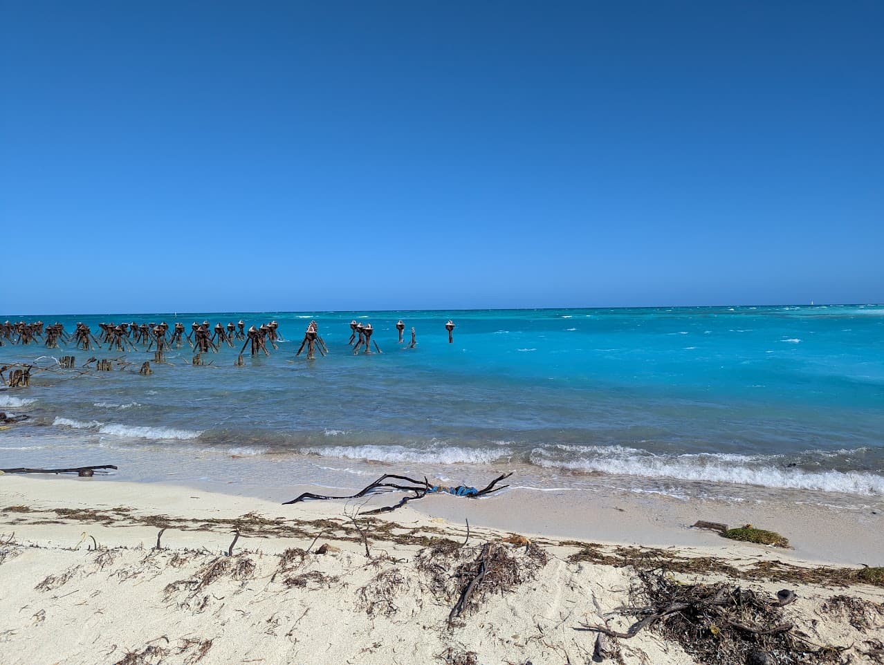 6 Days in Key West, Florida is Never Long Enough curated by Trish Mahan