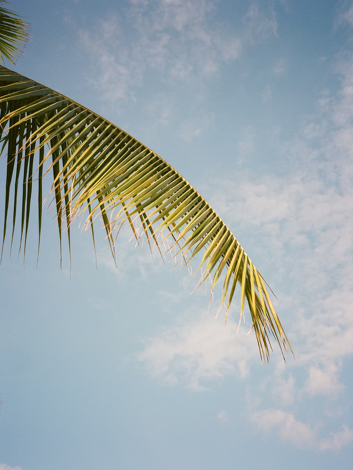 Kona Village, A Rosewood Resort: Ultimate Destination Wedding curated by Marlan Willardson