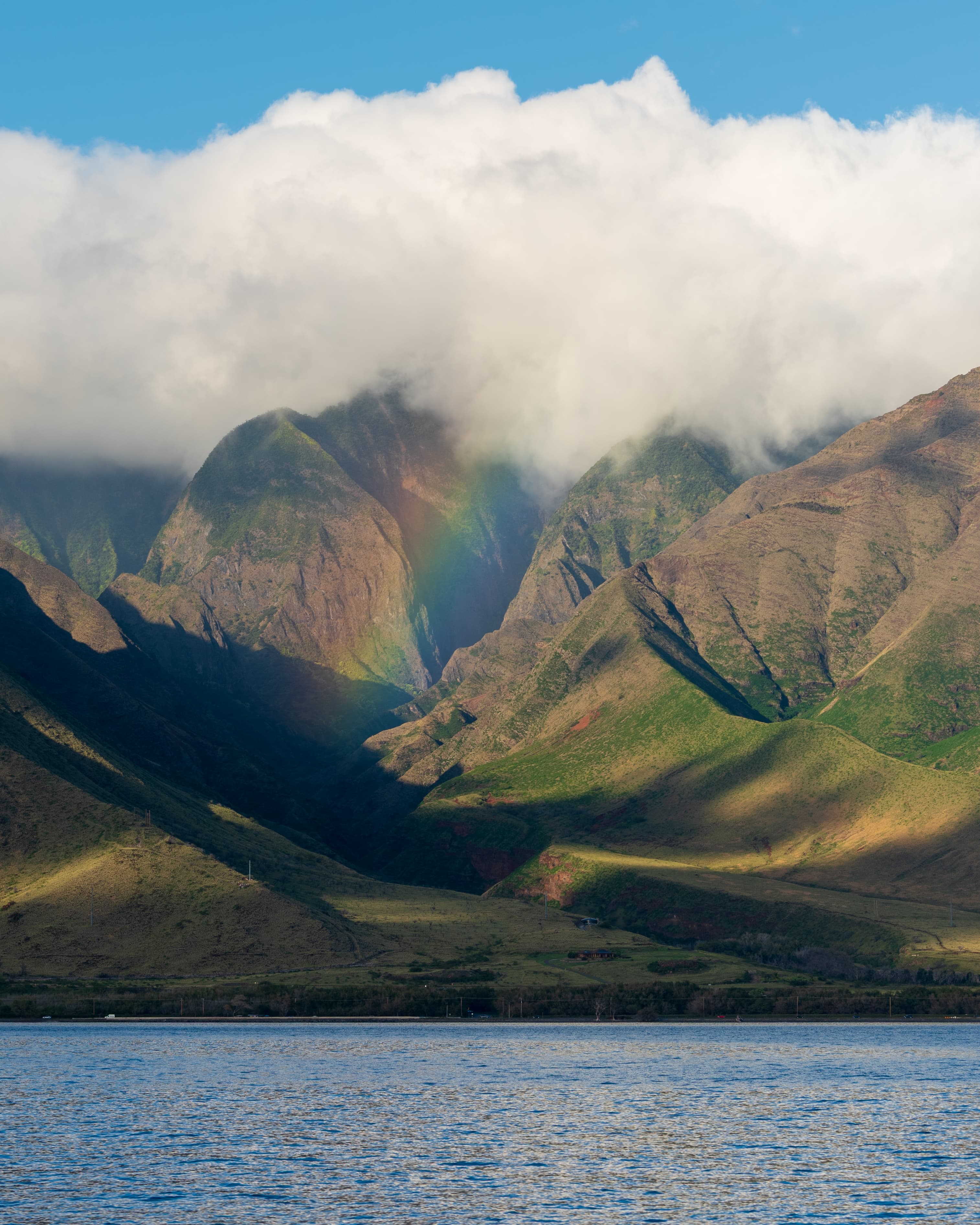 Home in Paradise: My Maui Picks curated by Sally Bowles