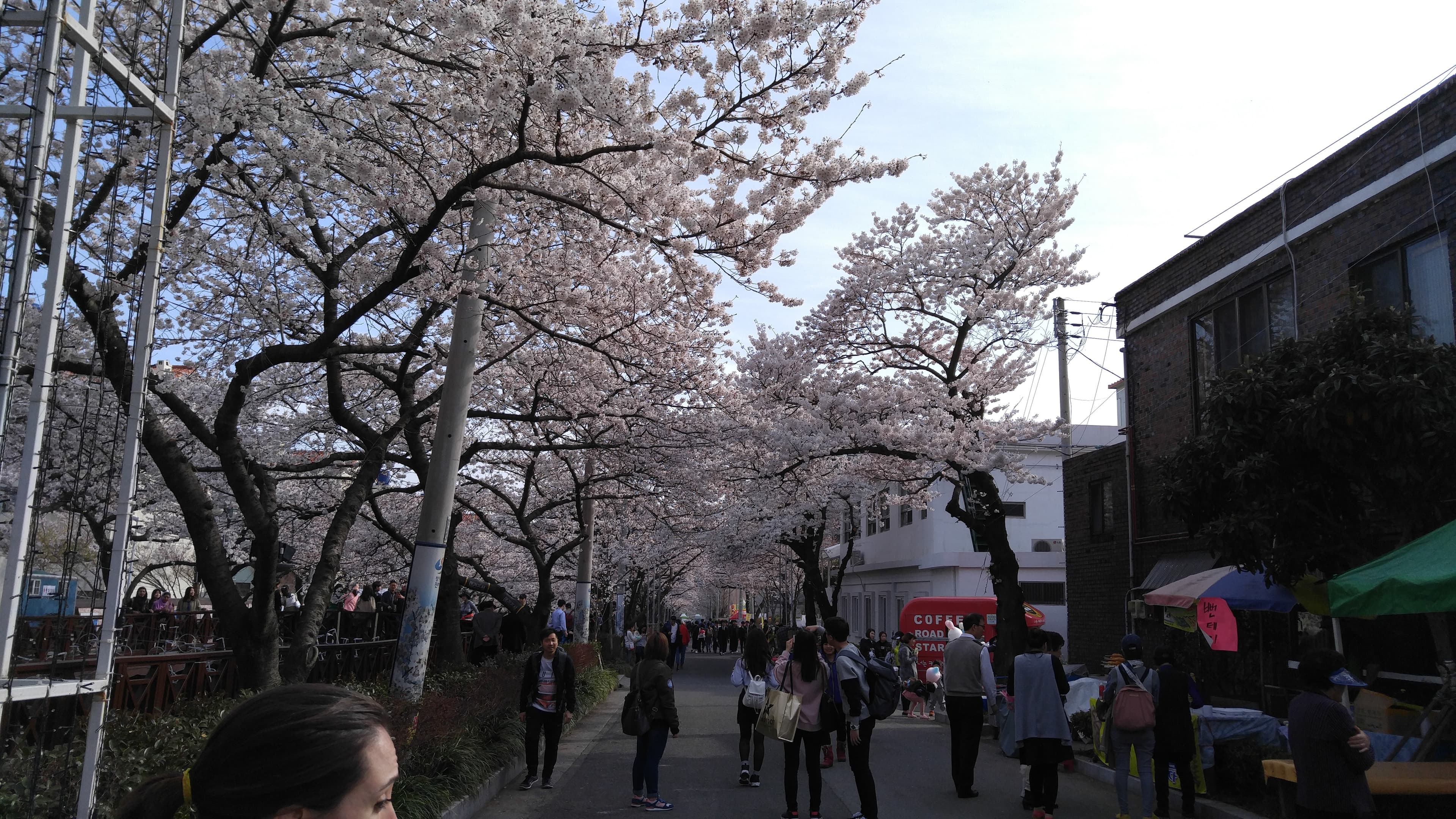 Travel photo 1