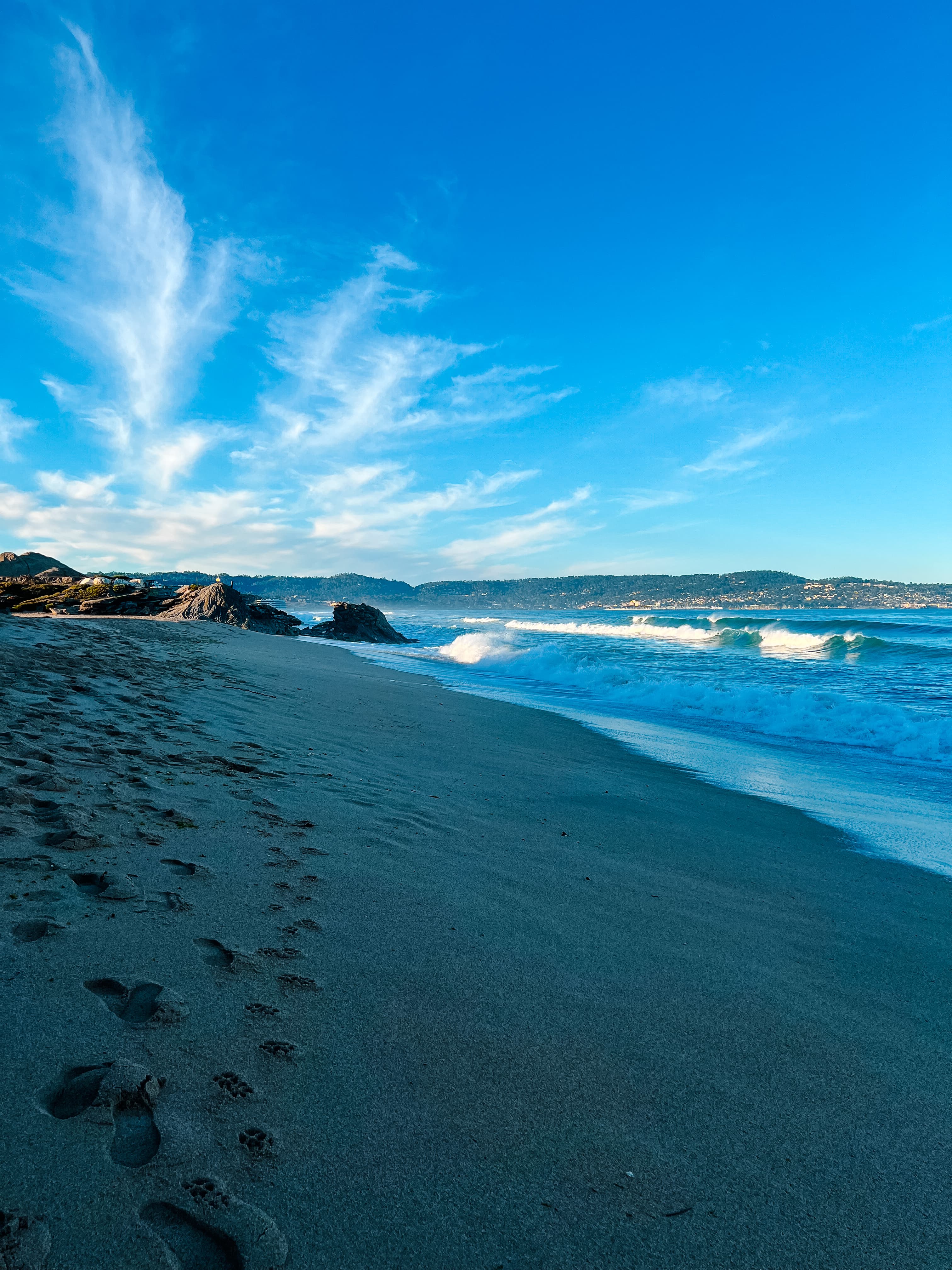A Perfect Long Weekend in Monterey with Kids curated by Olivia Thompson