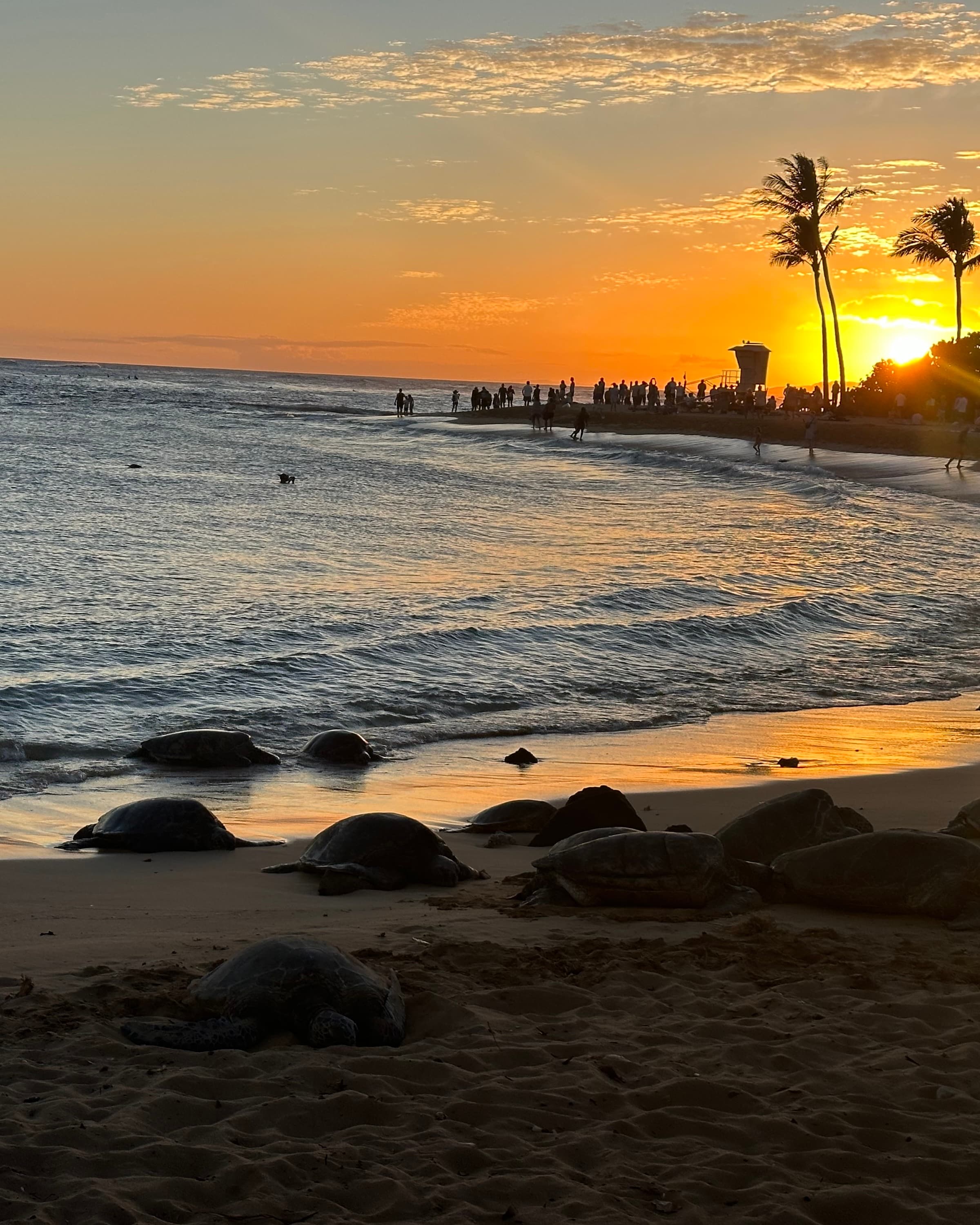 Family-Friendly Kauaʻi: What to Do, See & Eat curated by Betsy Simpson