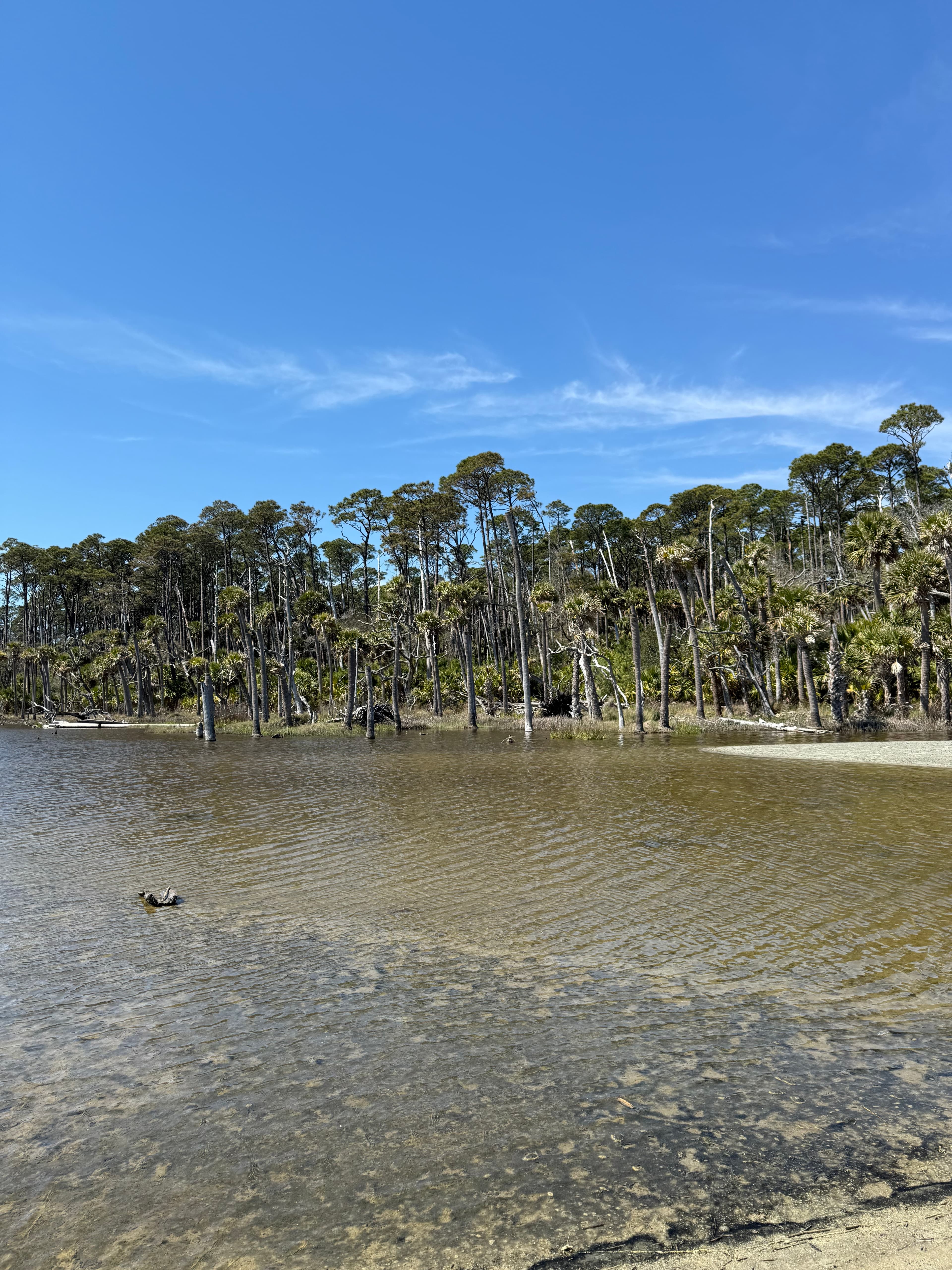 A Hiker’s Guide to Hunting Island State Park, South Carolina curated by Jennifer Franck