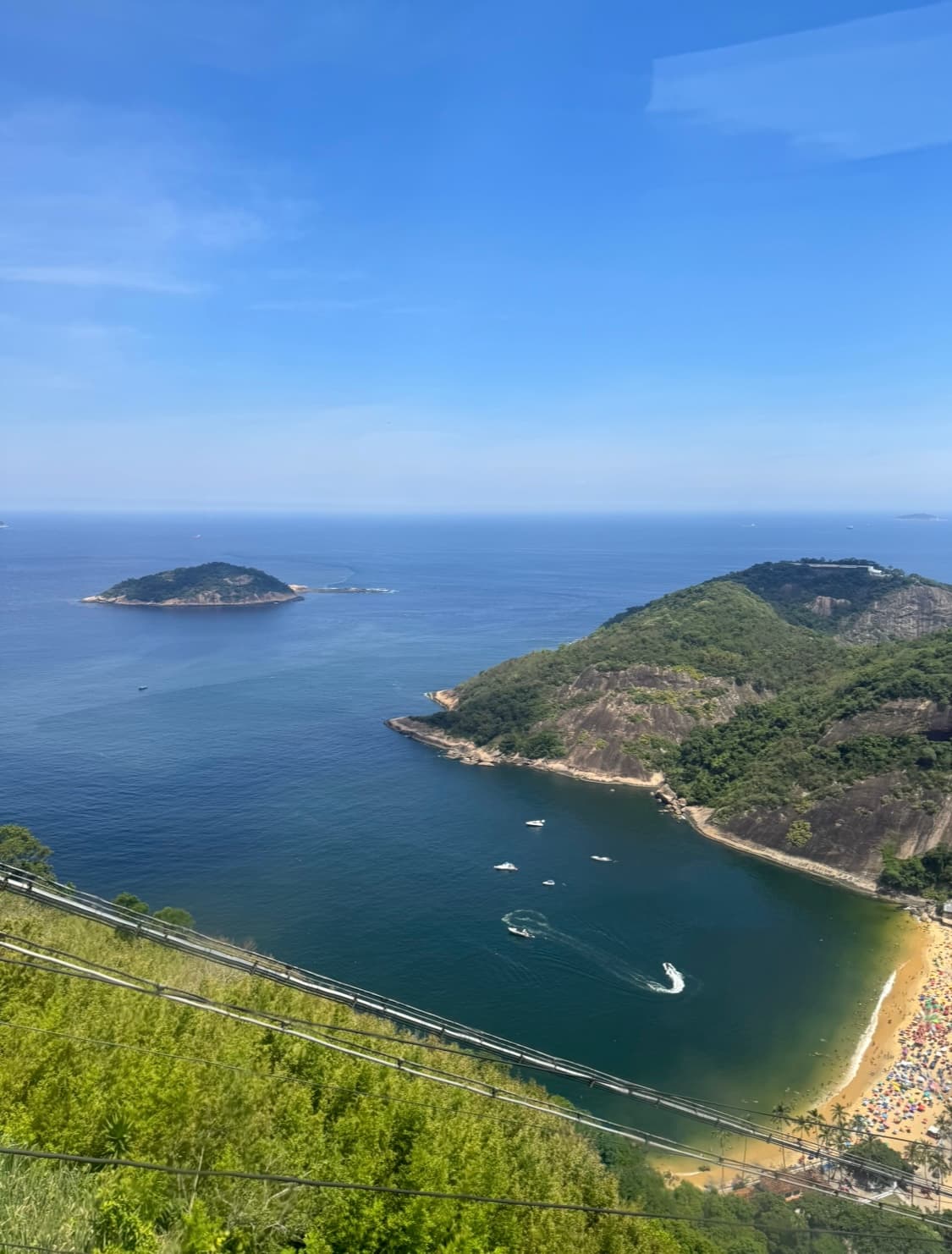 Beauty of Brazil curated by Leanna Vinokur