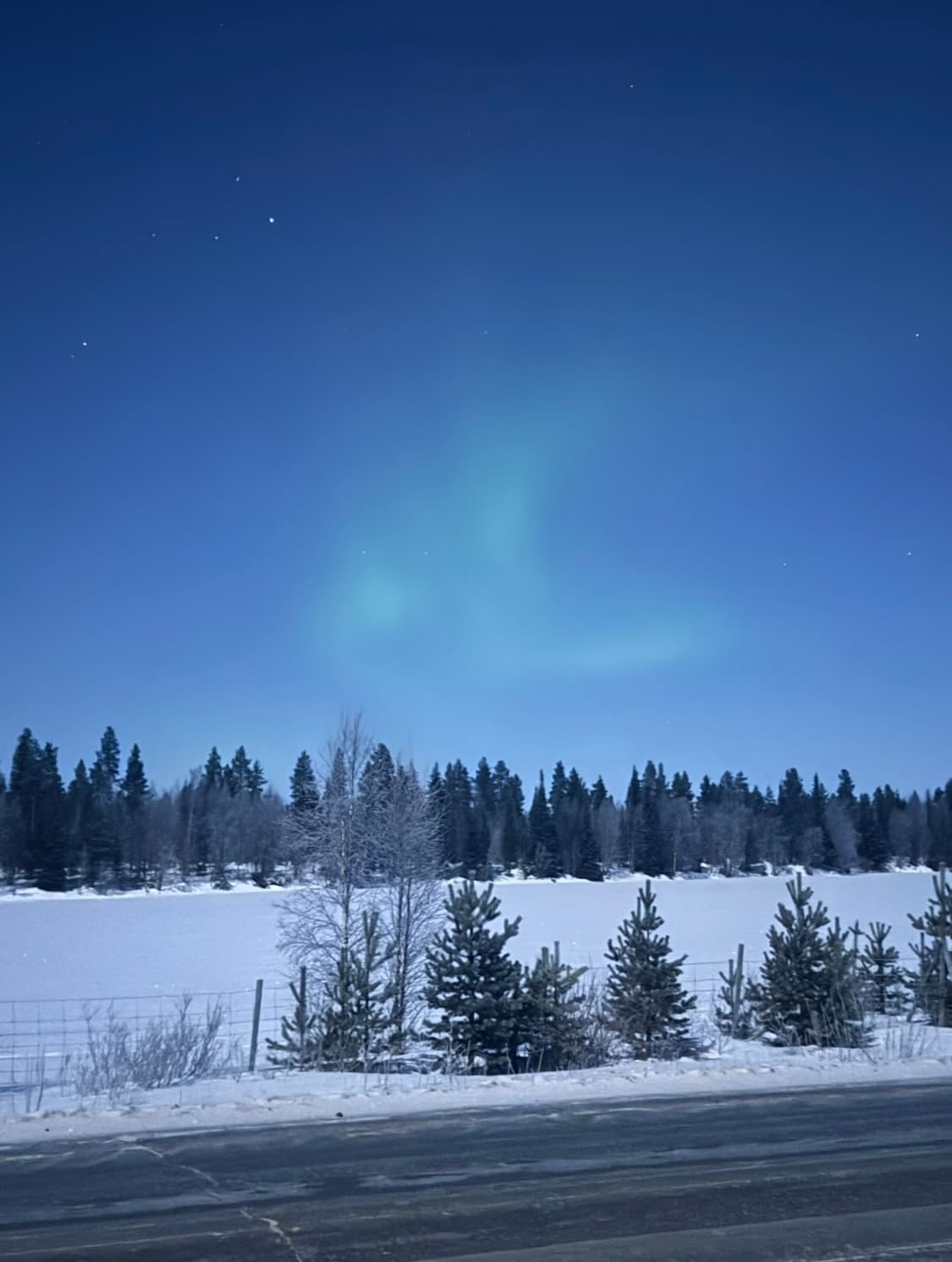 Frozen Finland curated by Leanna Vinokur