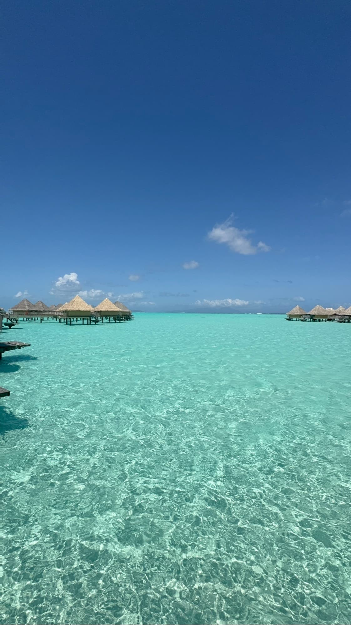Bask in Bora Bora curated by Leanna Vinokur