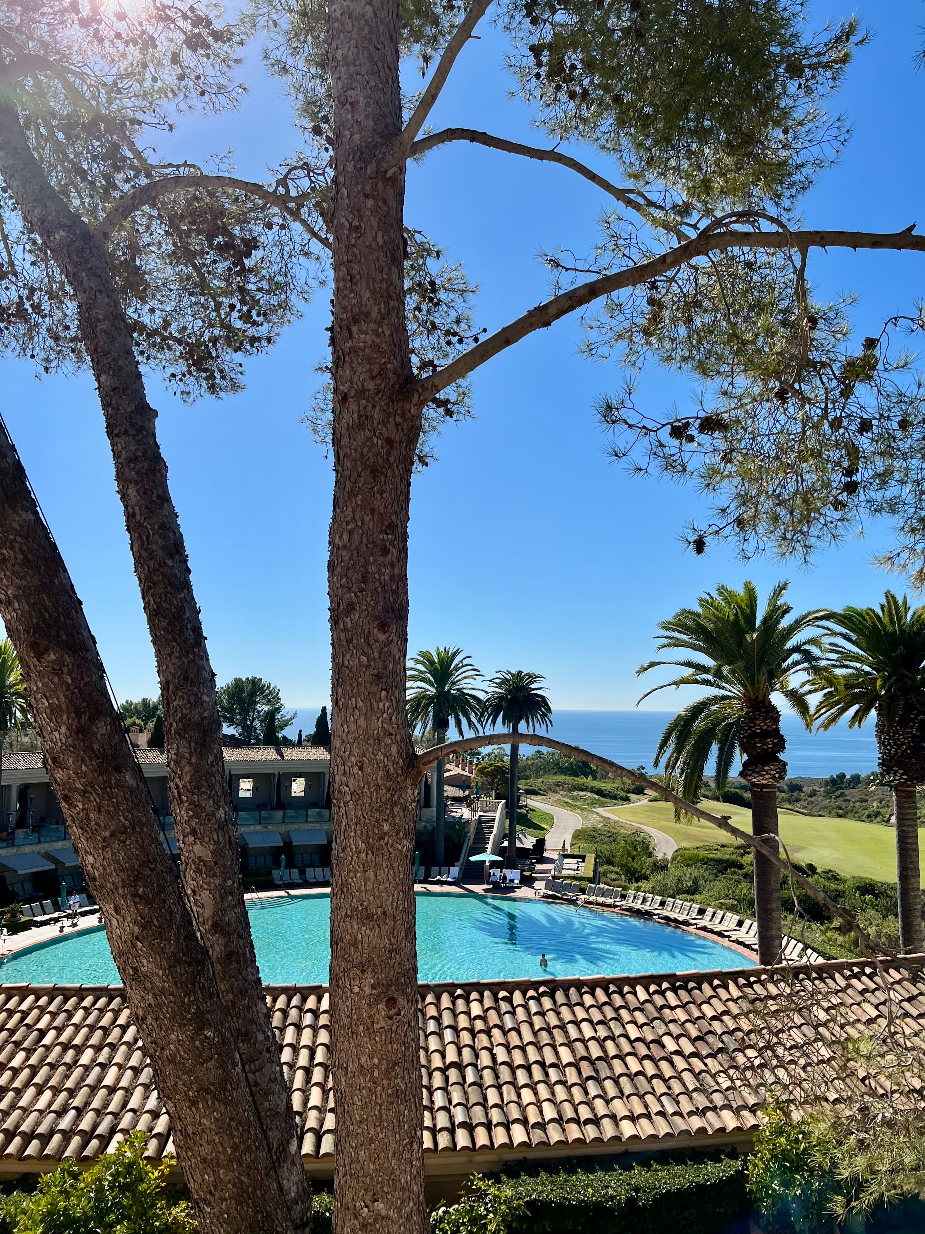 Newport Beach: Coastal Luxury in Southern California curated by Natalie Reid