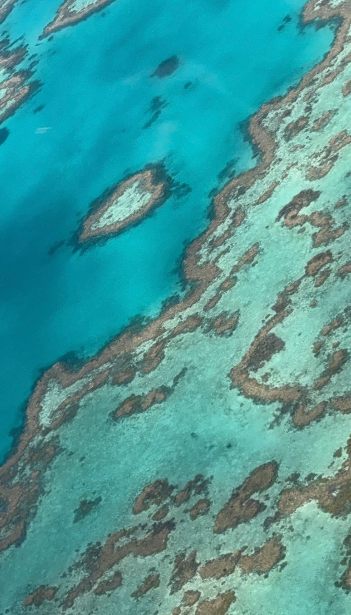 Adventures in Australia curated by Leanna Vinokur