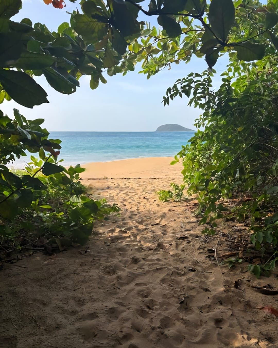 Basse-Terre, Guadeloupe: Caribbean’s Hidden Gem curated by Hannah Klein Del Carmine