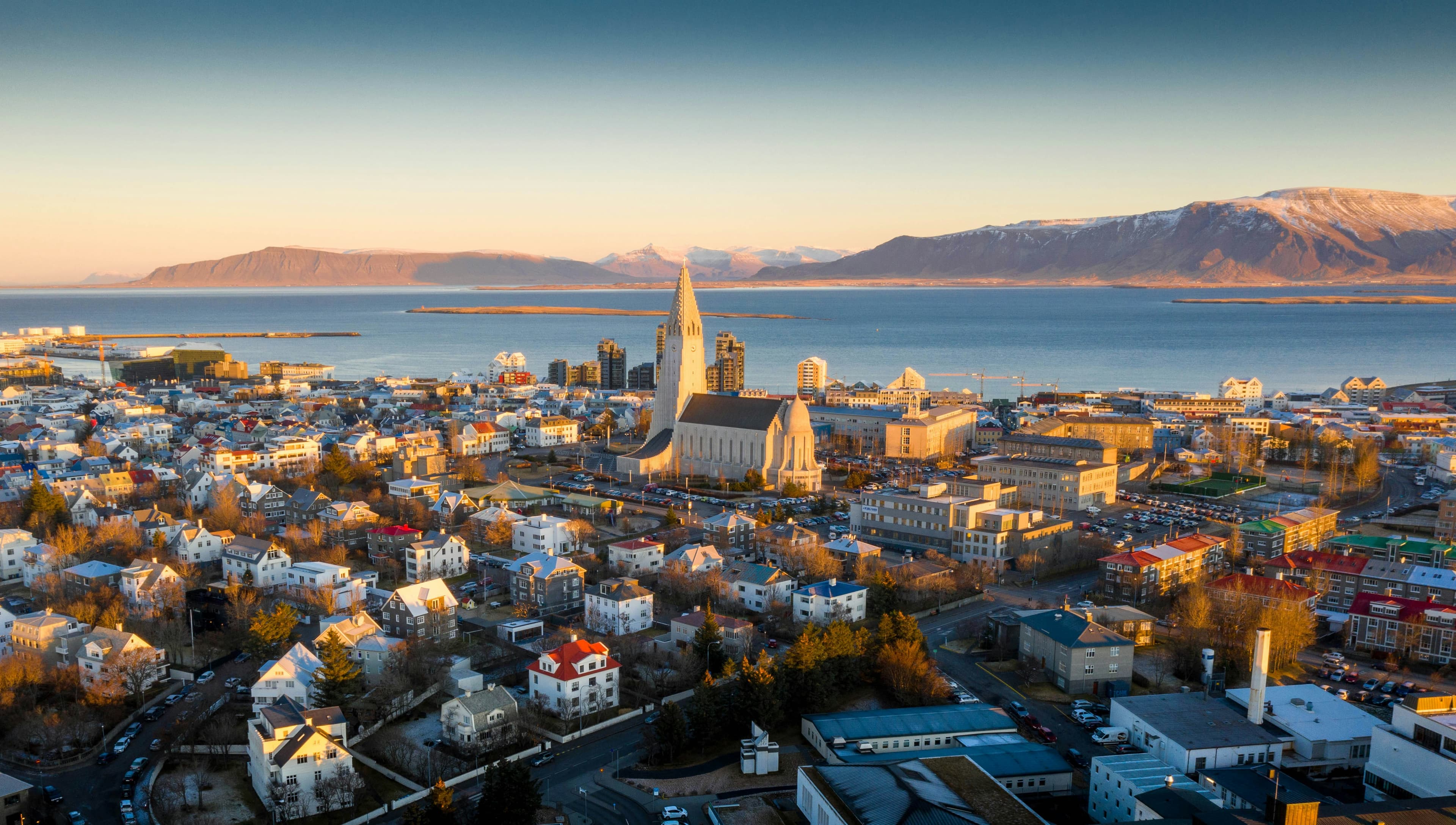 A Local Icelander's Ultimate Reykjavík Food Guide curated by Elvar Birgir Elvarsson