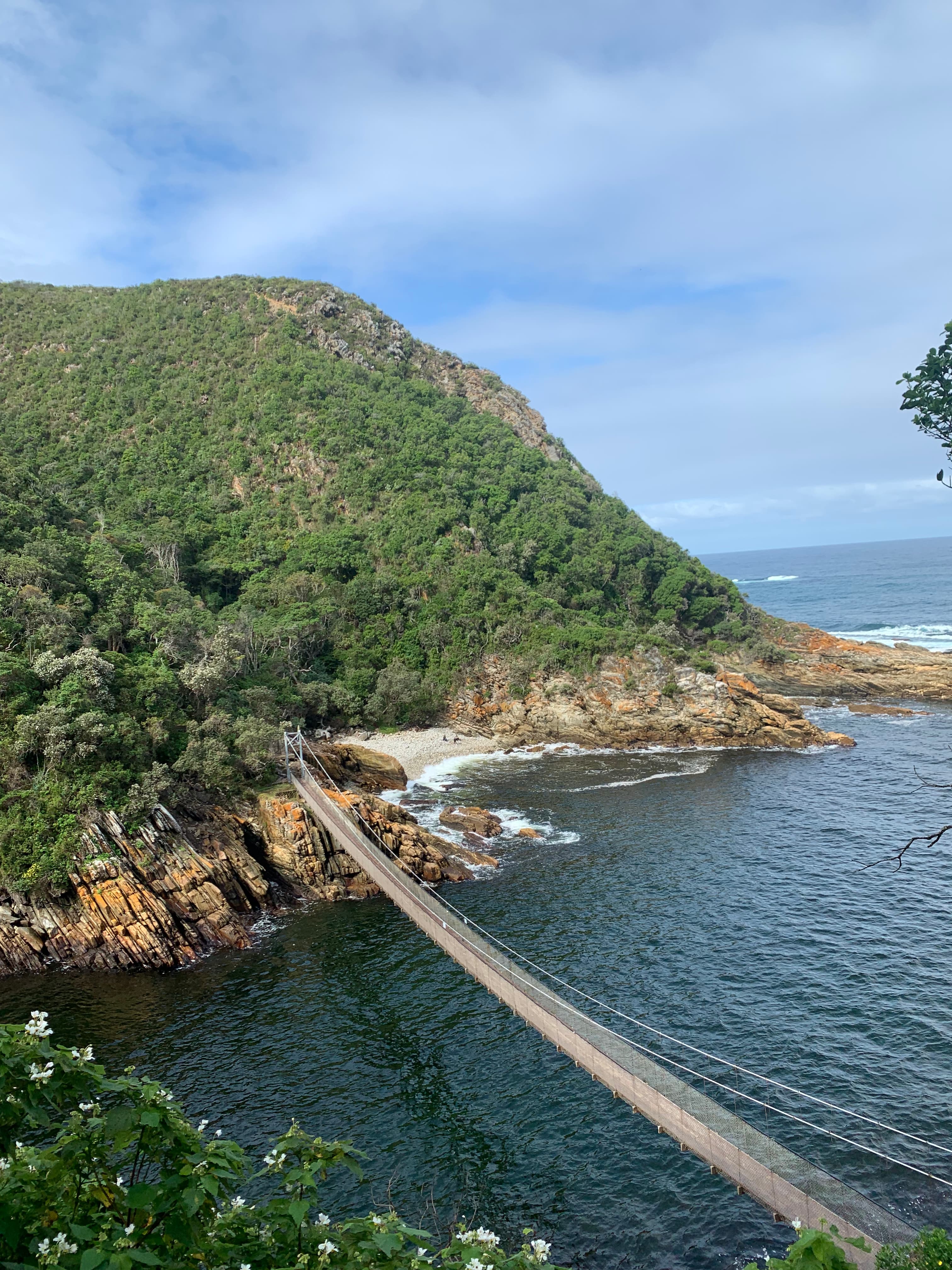 A Journey Through South Africa’s Garden Route & Winelands curated by Angela Barham