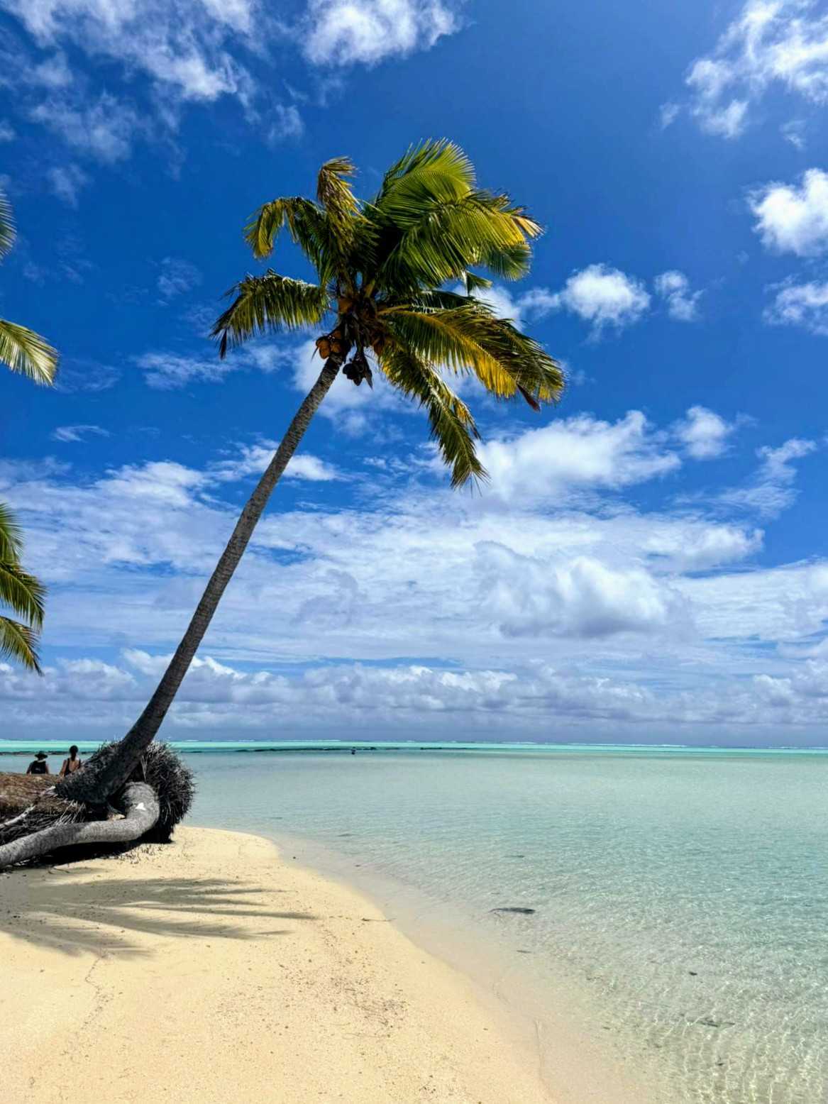 72 Hours of Turquoise Bliss: Aitutaki Lagoon Private Island Resort curated by Alex Pusenjak