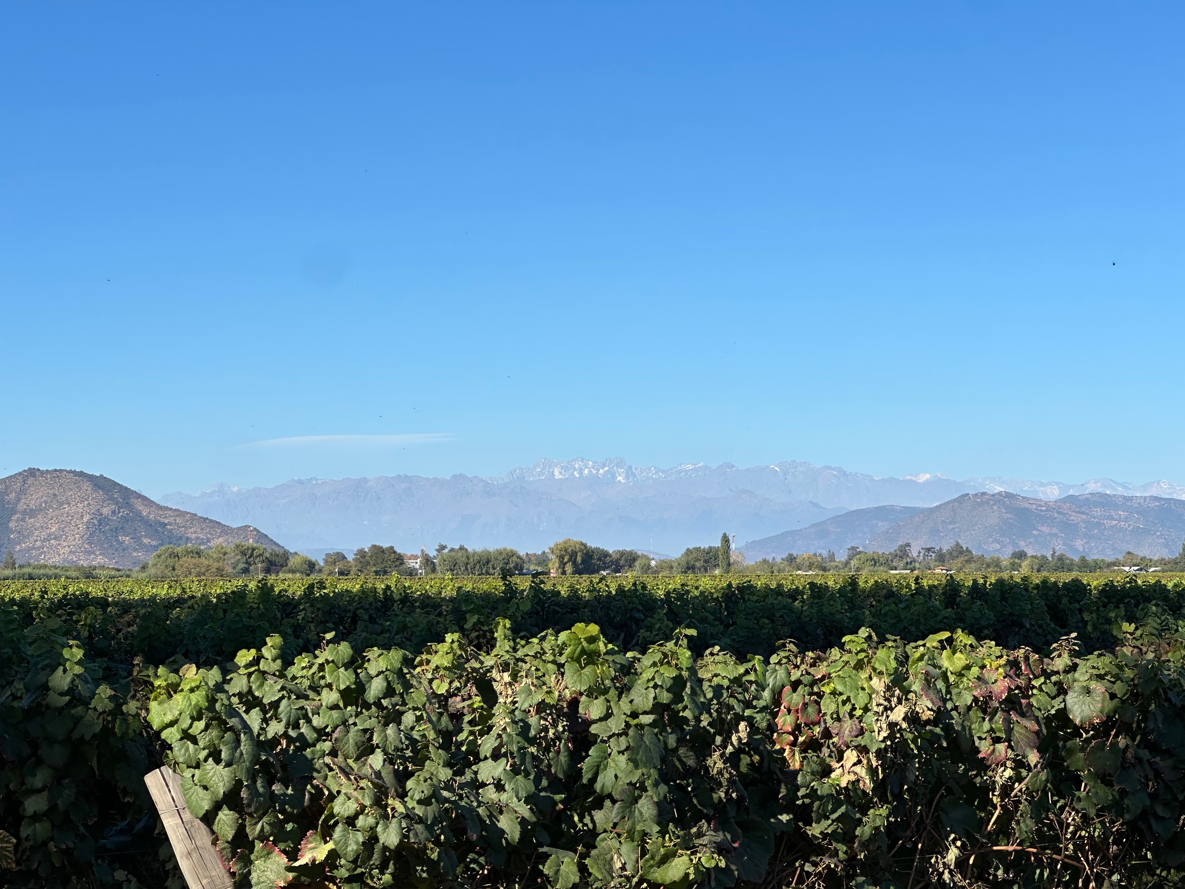 Wine Adventure In Casablanca, Chile curated by Lexie Kadlec