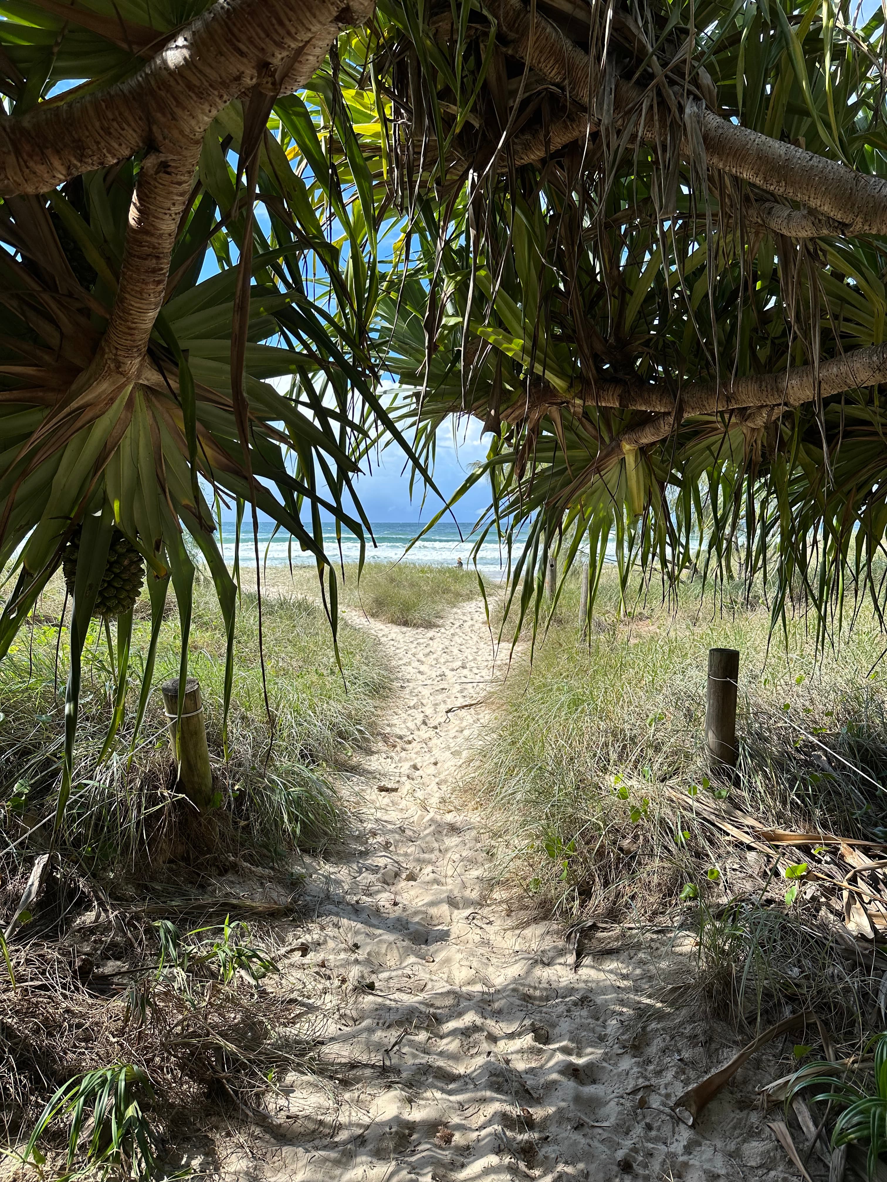 The Best of Northern New South Wales: A Local’s Playbook curated by Alli Forde