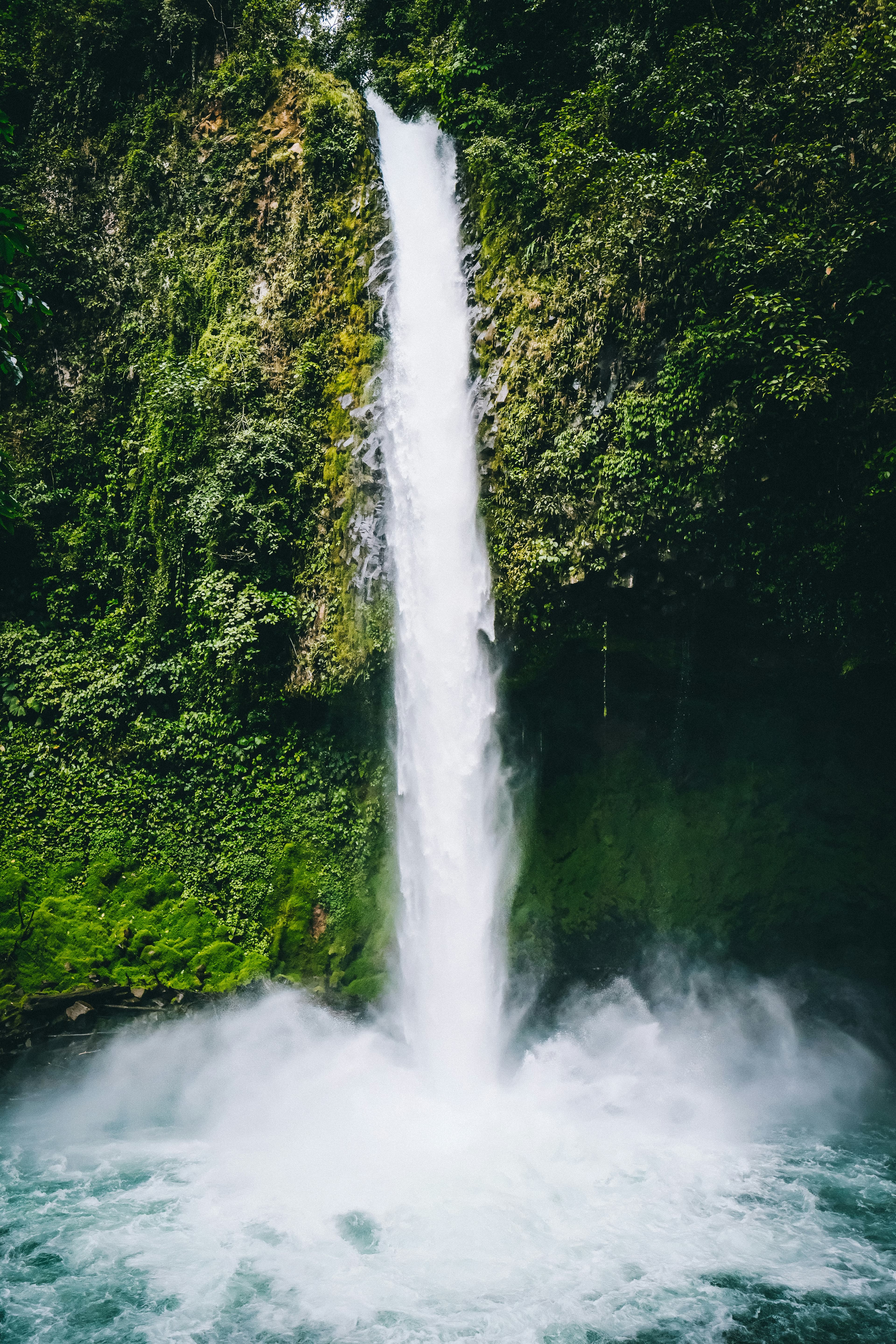 Heal & Indulge: A Luxury Medical Journey to Costa Rica curated by Rebecca Hall