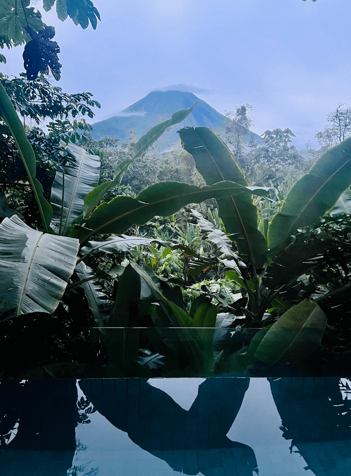 Rainforest to Waves: A Family’s 7-Day Costa Rica Adventure curated by Chrissy Jenkins